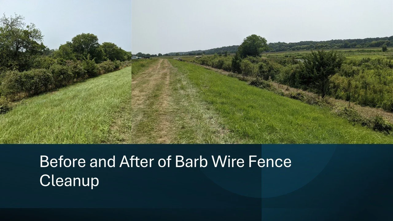 Fence Line Cleanup