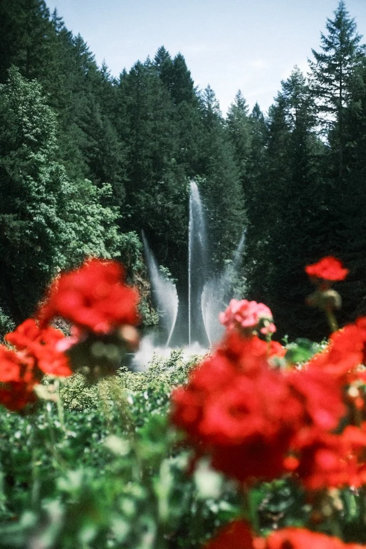bc-june2026-setfour-11.JPG