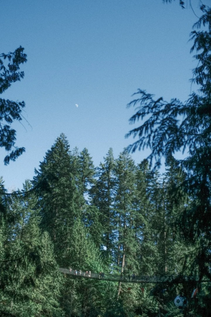 bc-june2026-settwo-11.JPG