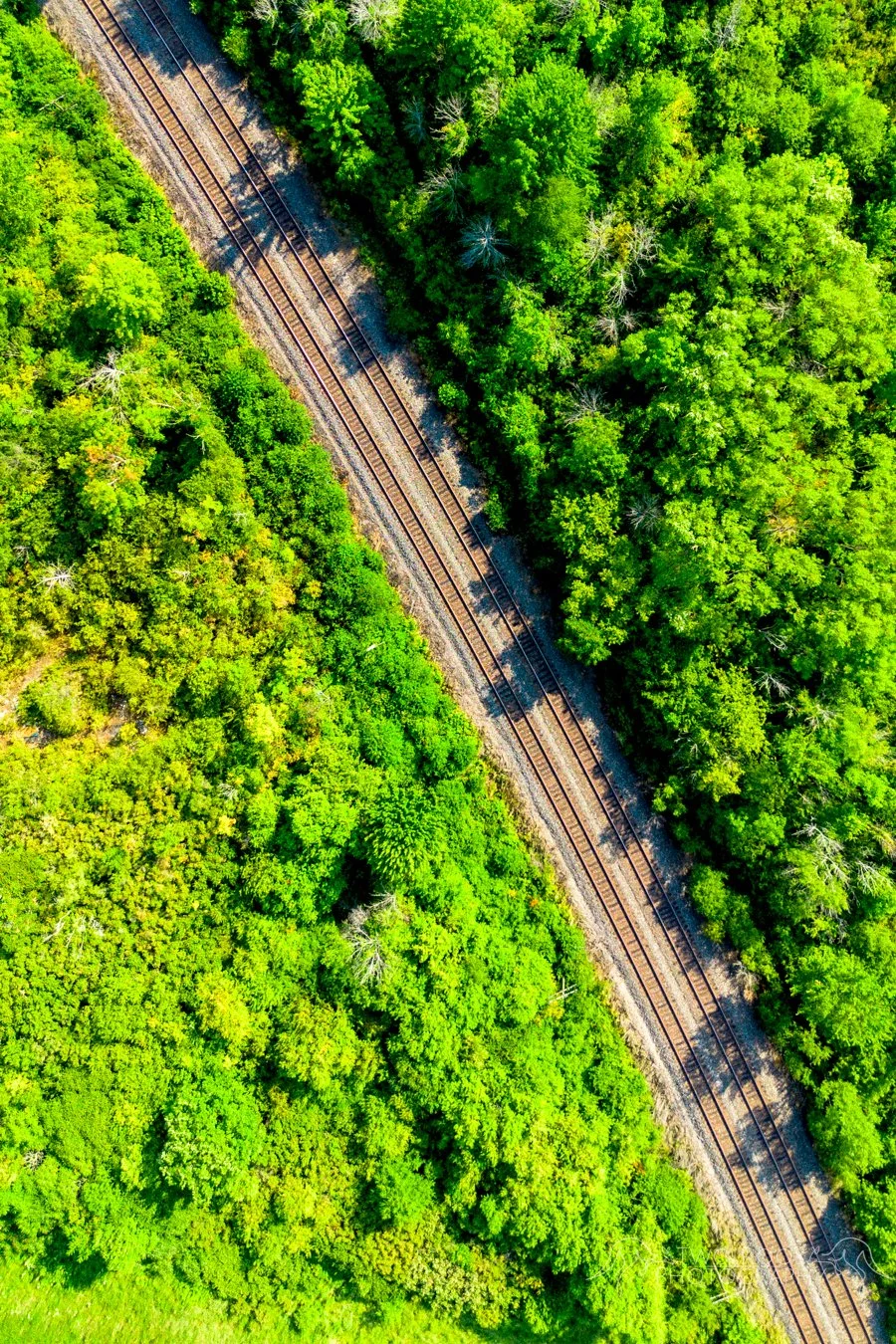 droneredo-11.jpg