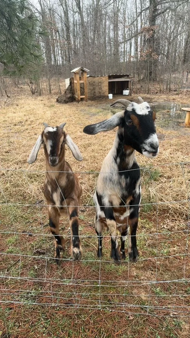 bill anderson - IMG_5164.jpeg