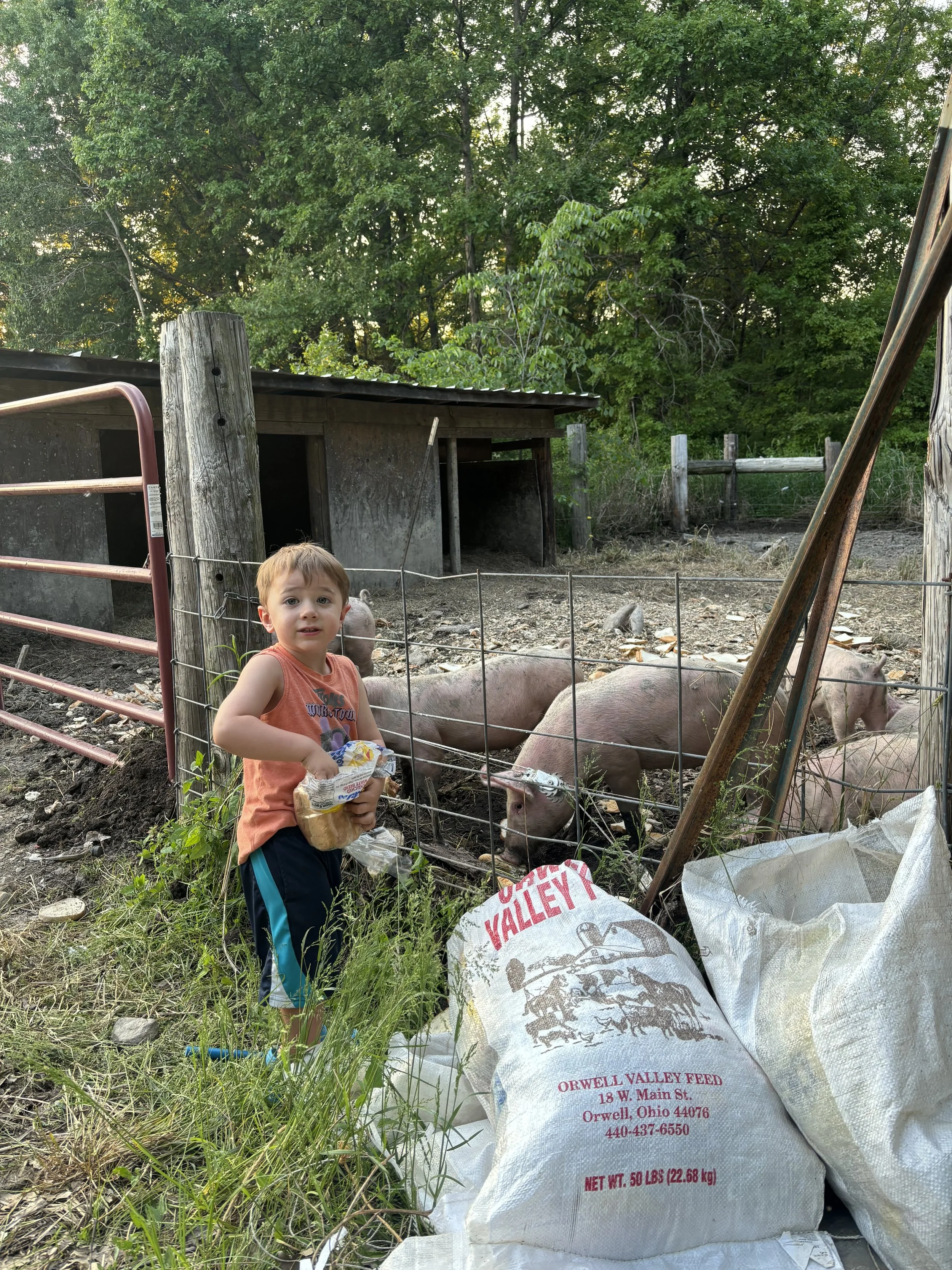 bill anderson - IMG_4988.jpeg