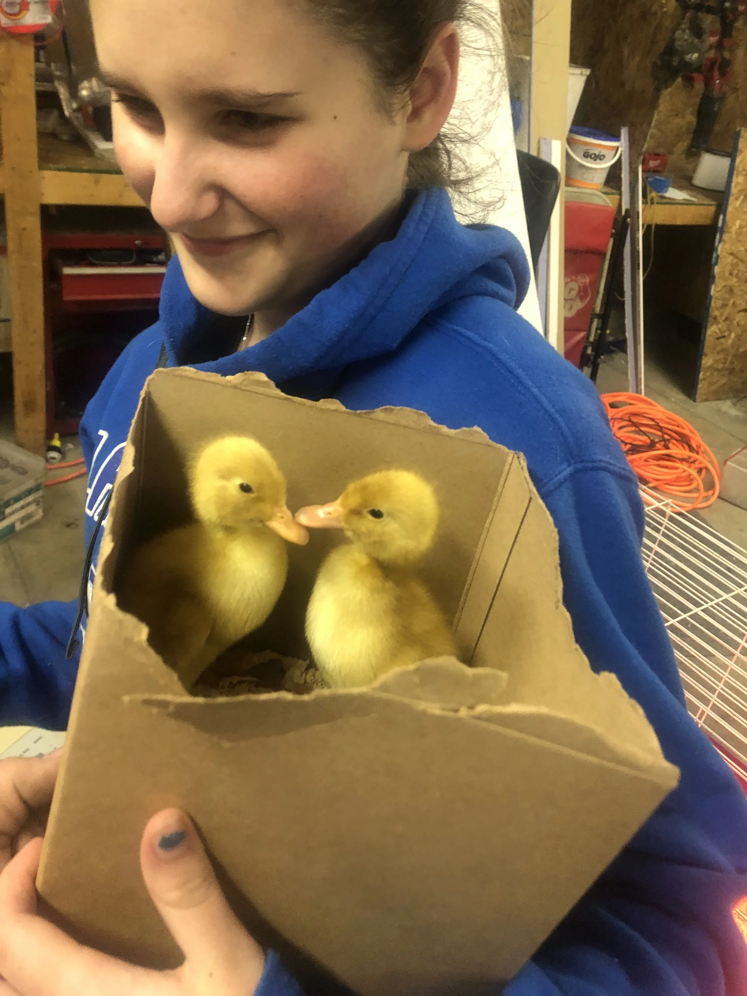 bill anderson - IMG_1489.jpeg