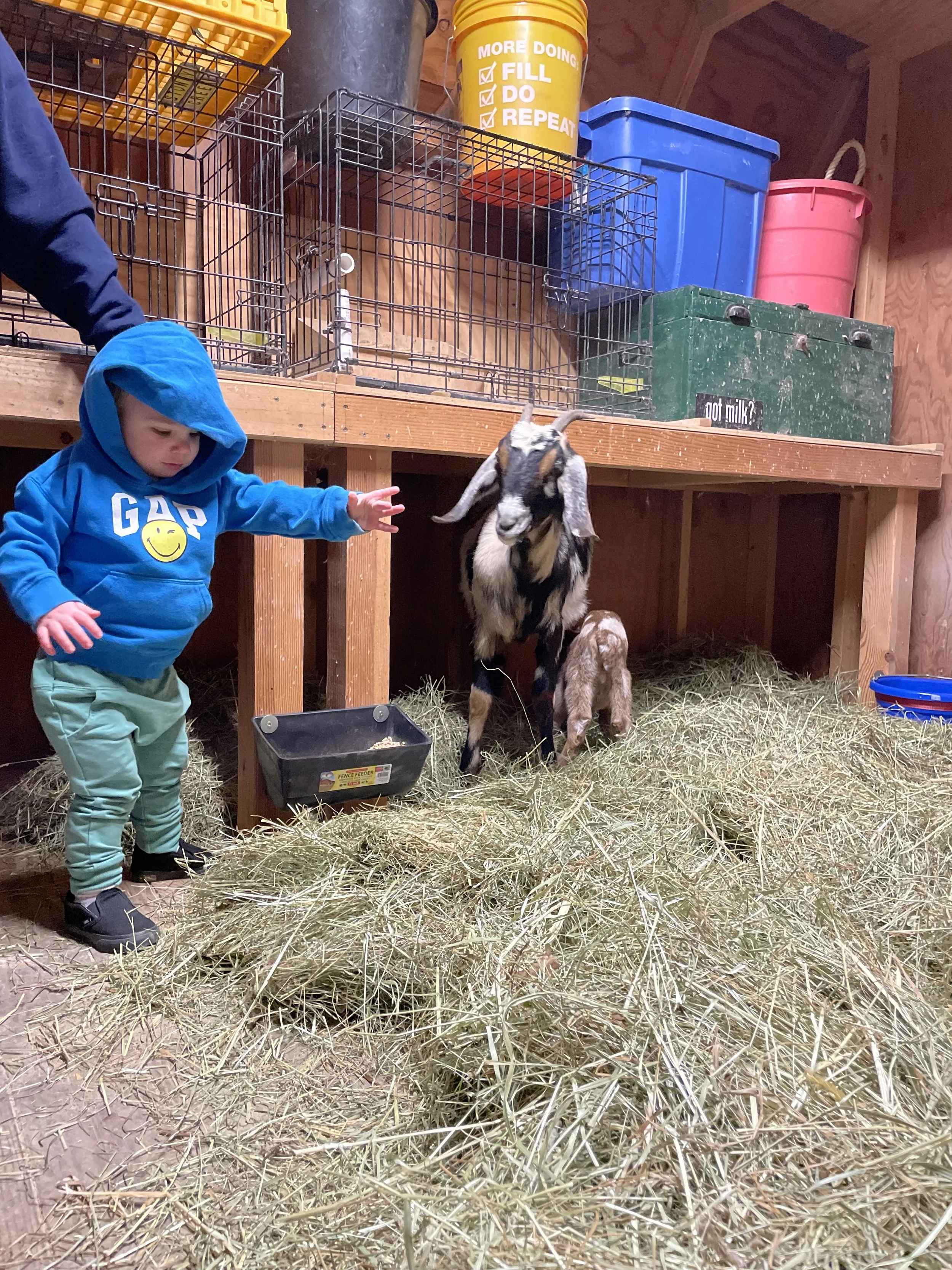 bill anderson - IMG_2768.jpeg