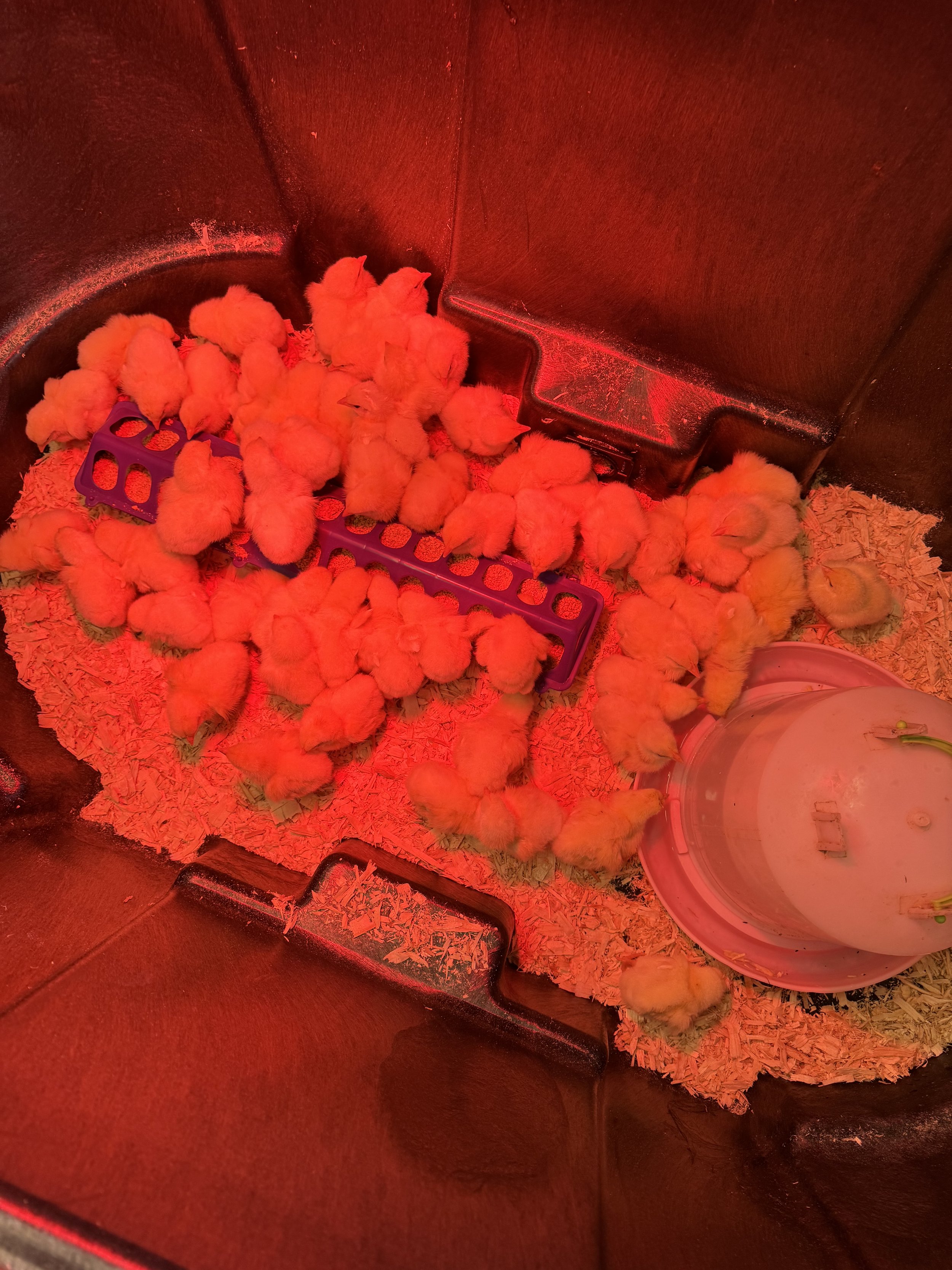 bill anderson - IMG_7733.jpeg