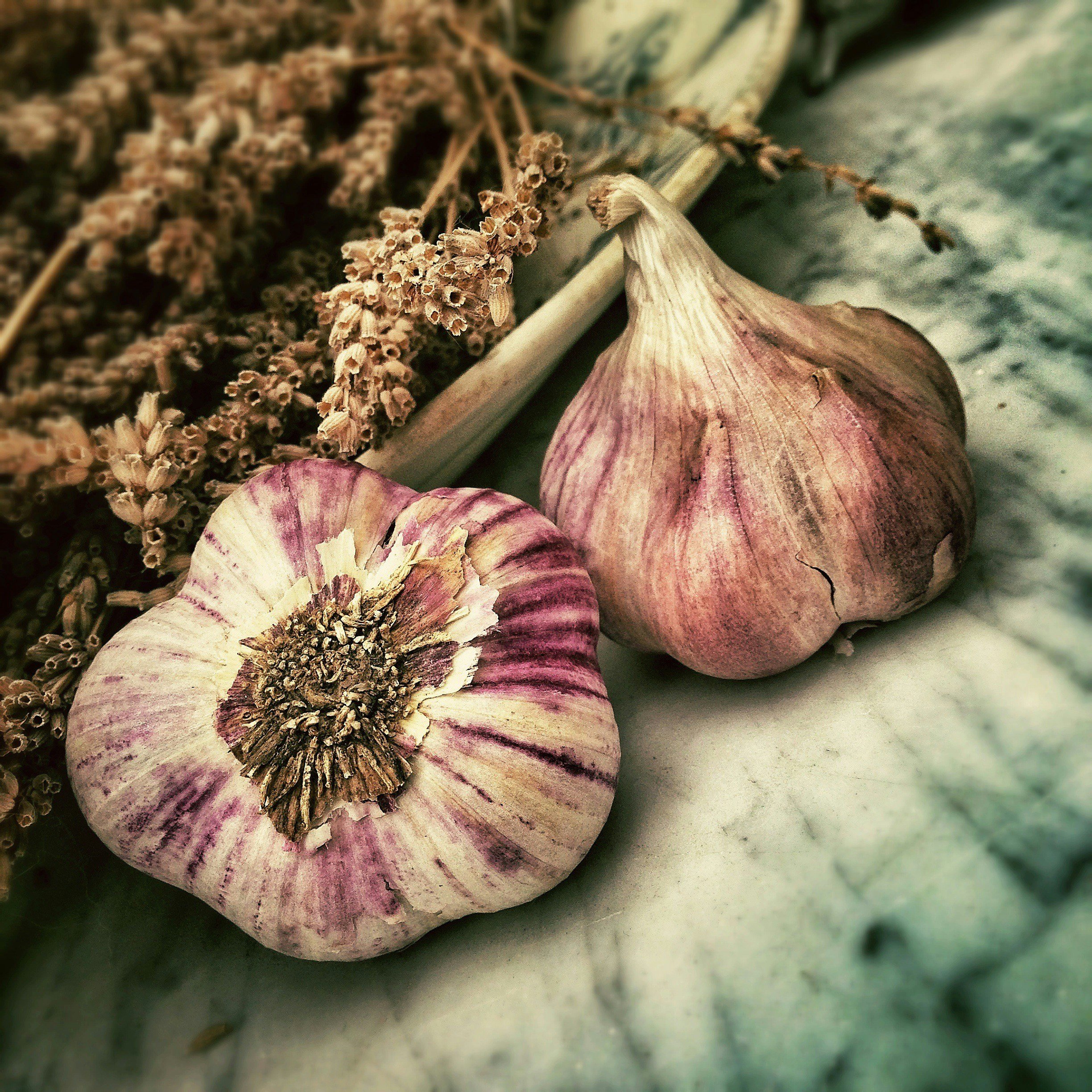 Close-up of two bulbs of purple-striped garlic and dried flowers on a marble surface.