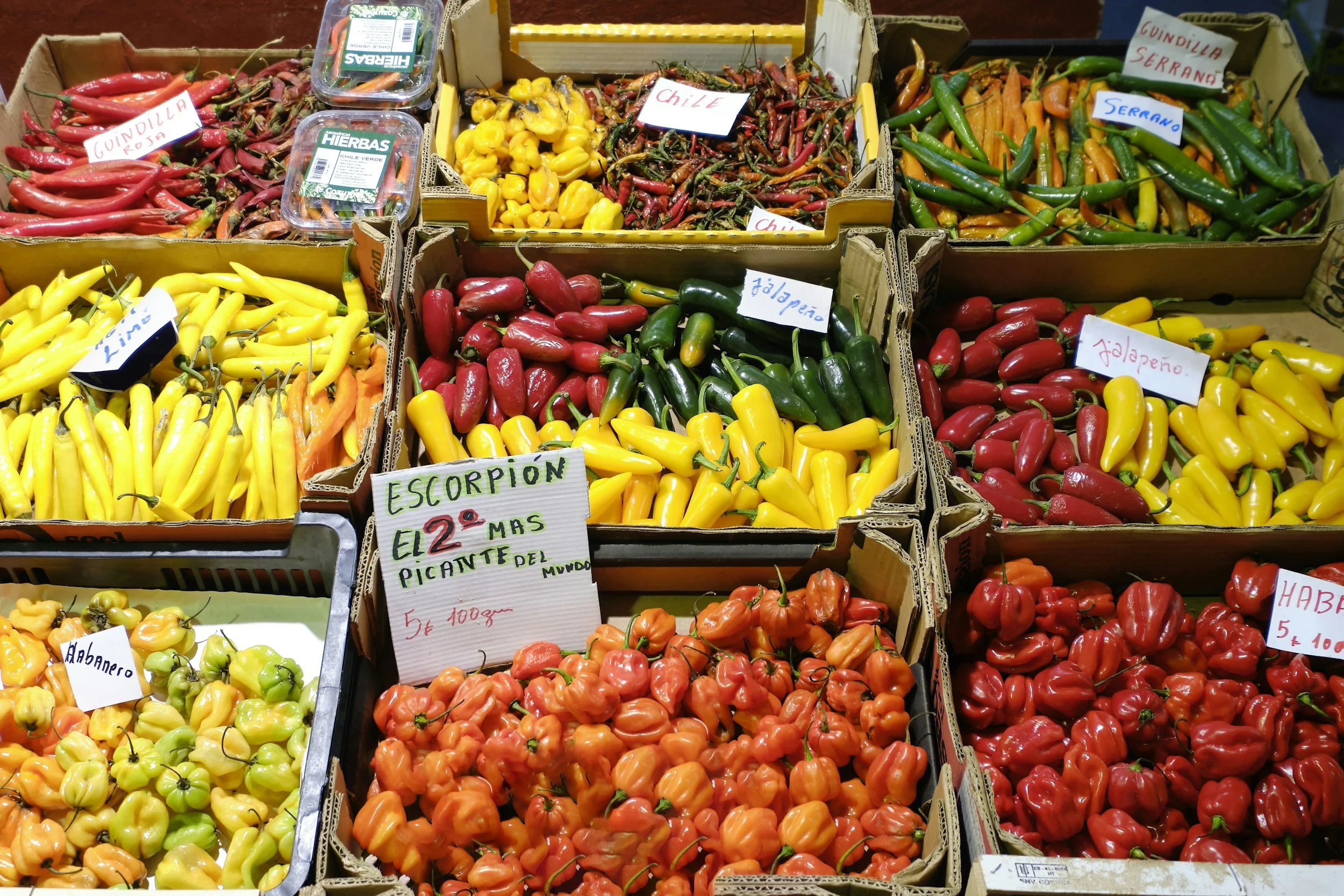 Matteo Cooks - Salsas of Mexico