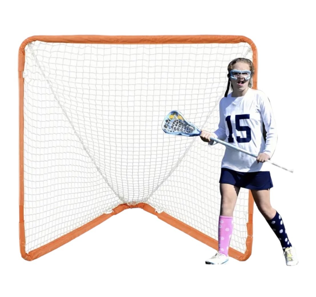 Dream Big Lacrosse Goal Net
