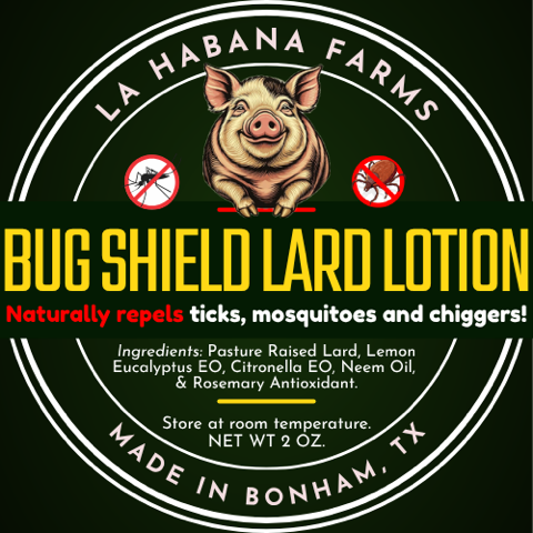 bug shield 3.PNG