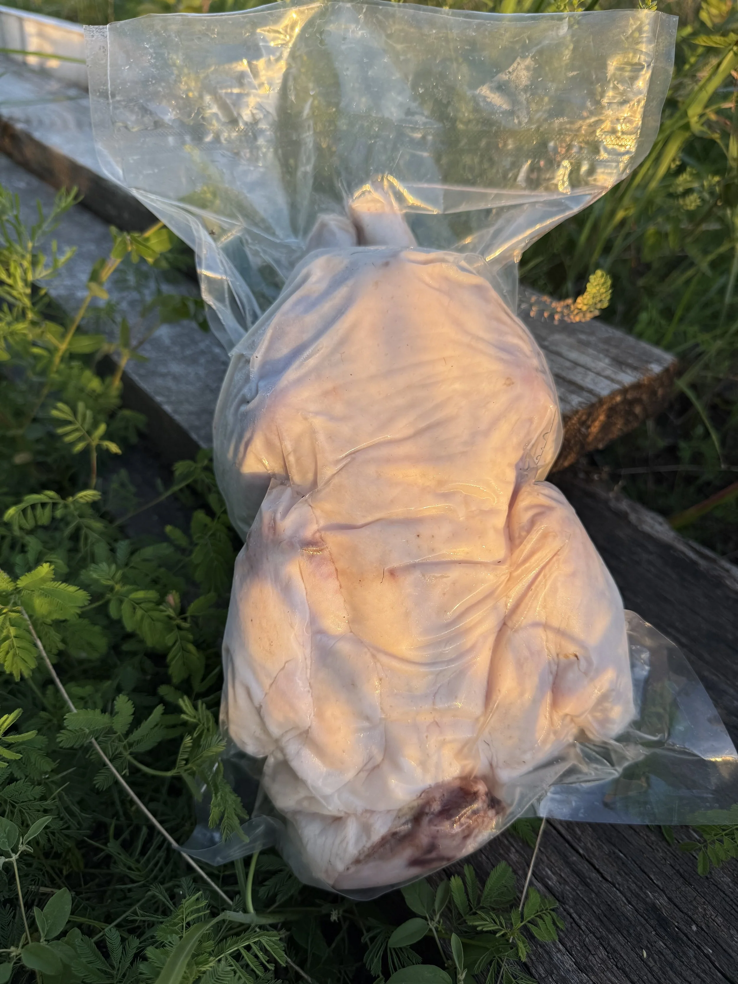 whole chickennnn.jpg