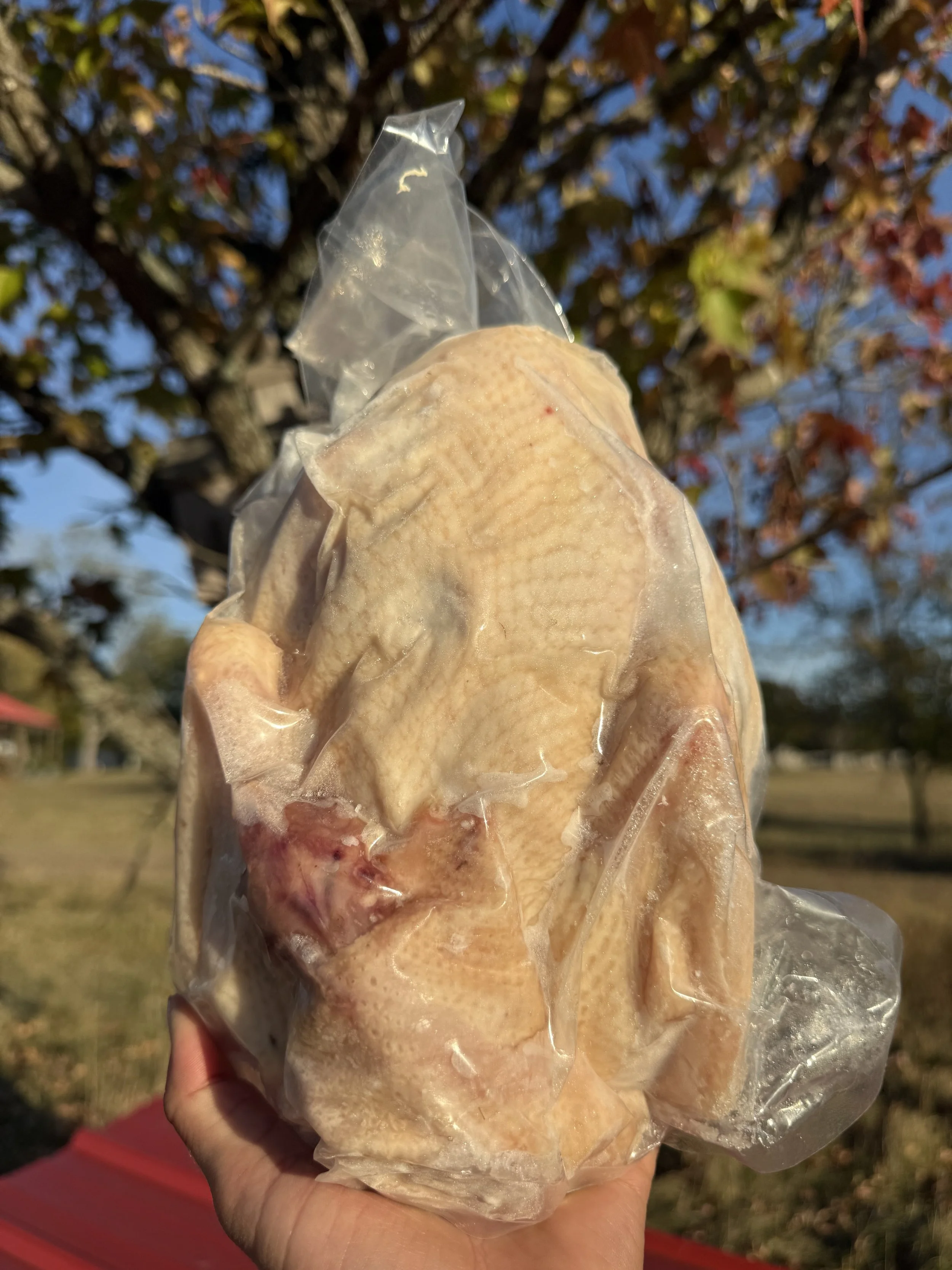 whole chicken 2.jpg