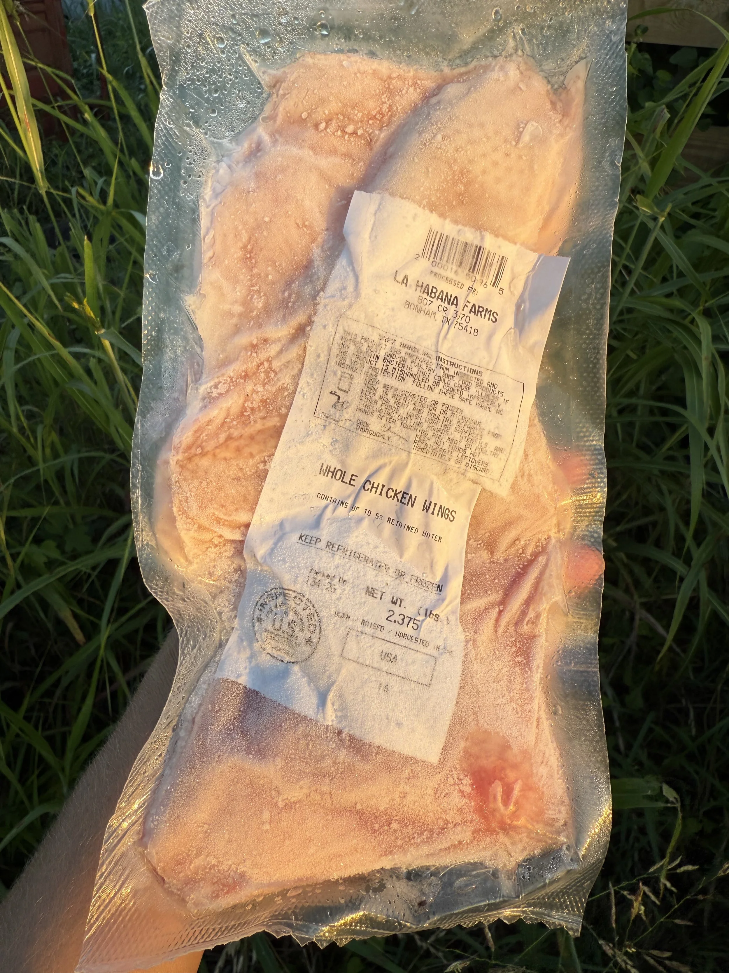 Chicken Wings