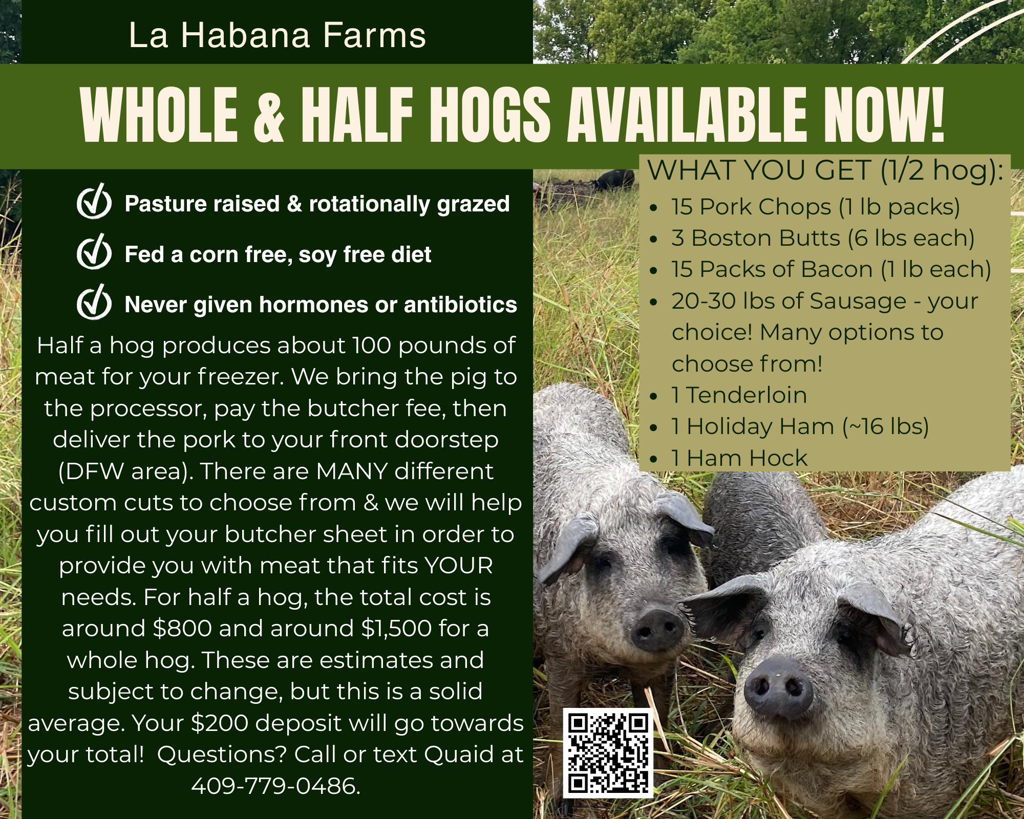whole and half hog flyer.PNG