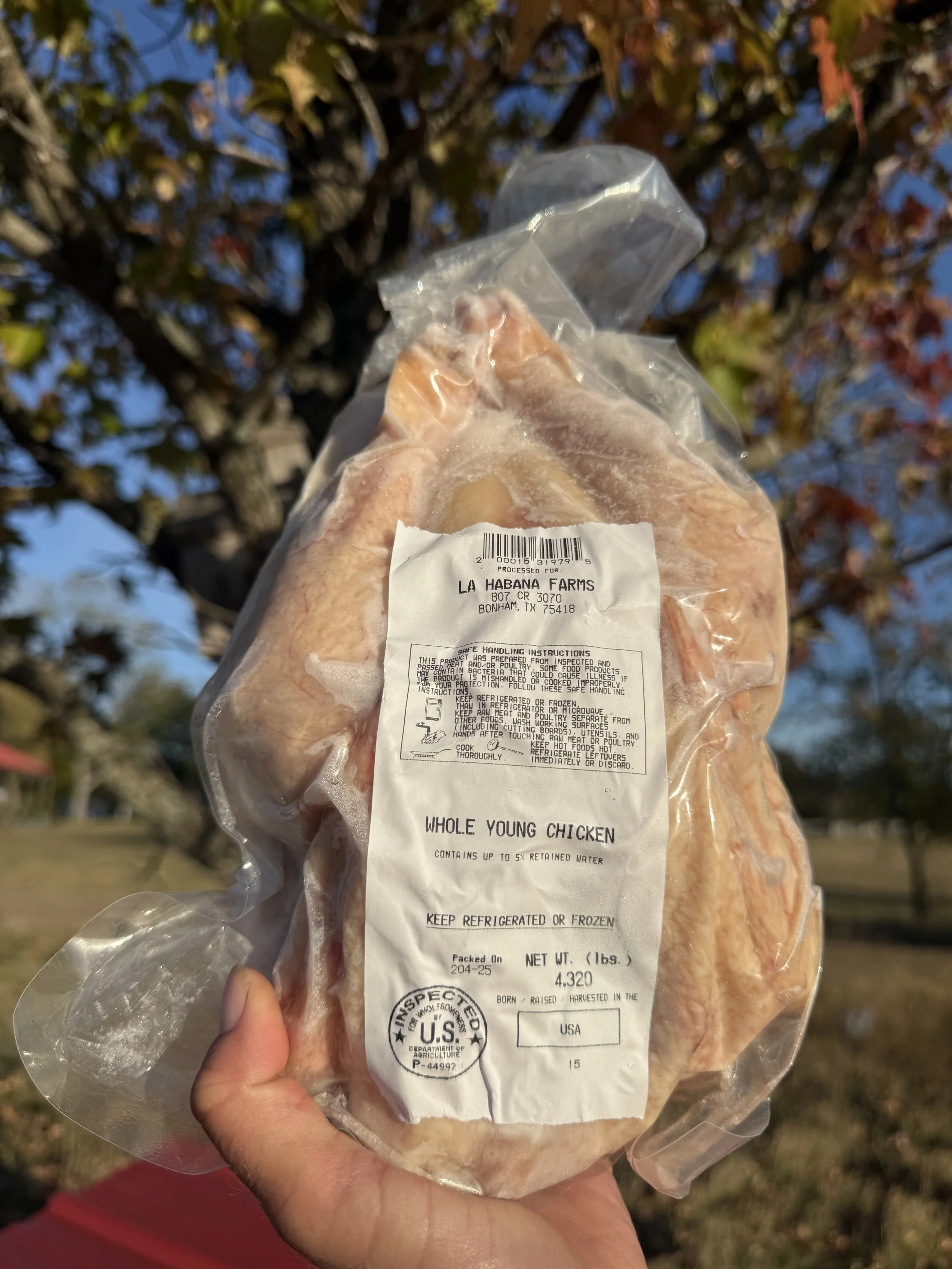 whole chicken.jpg
