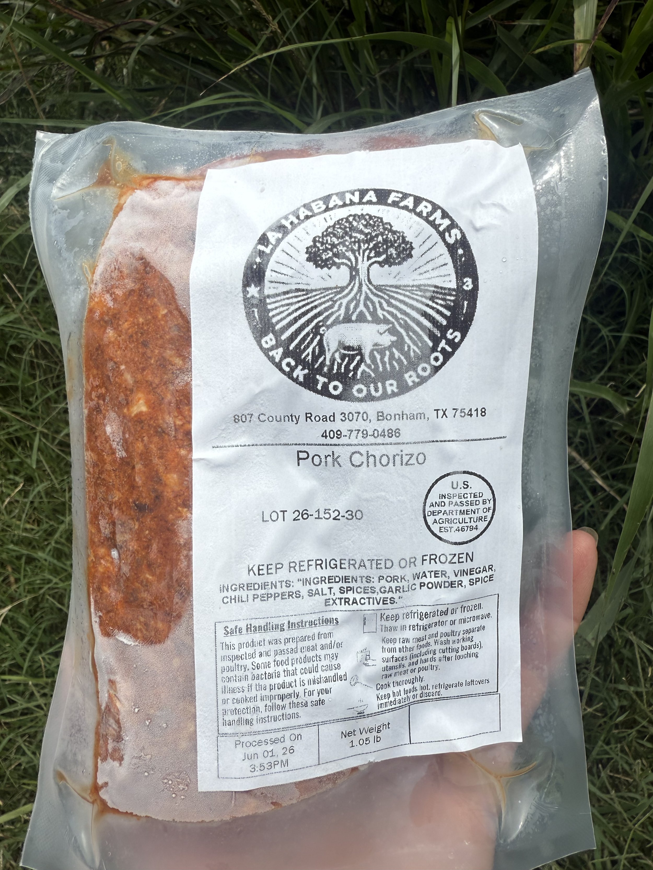 Pork Chorizo