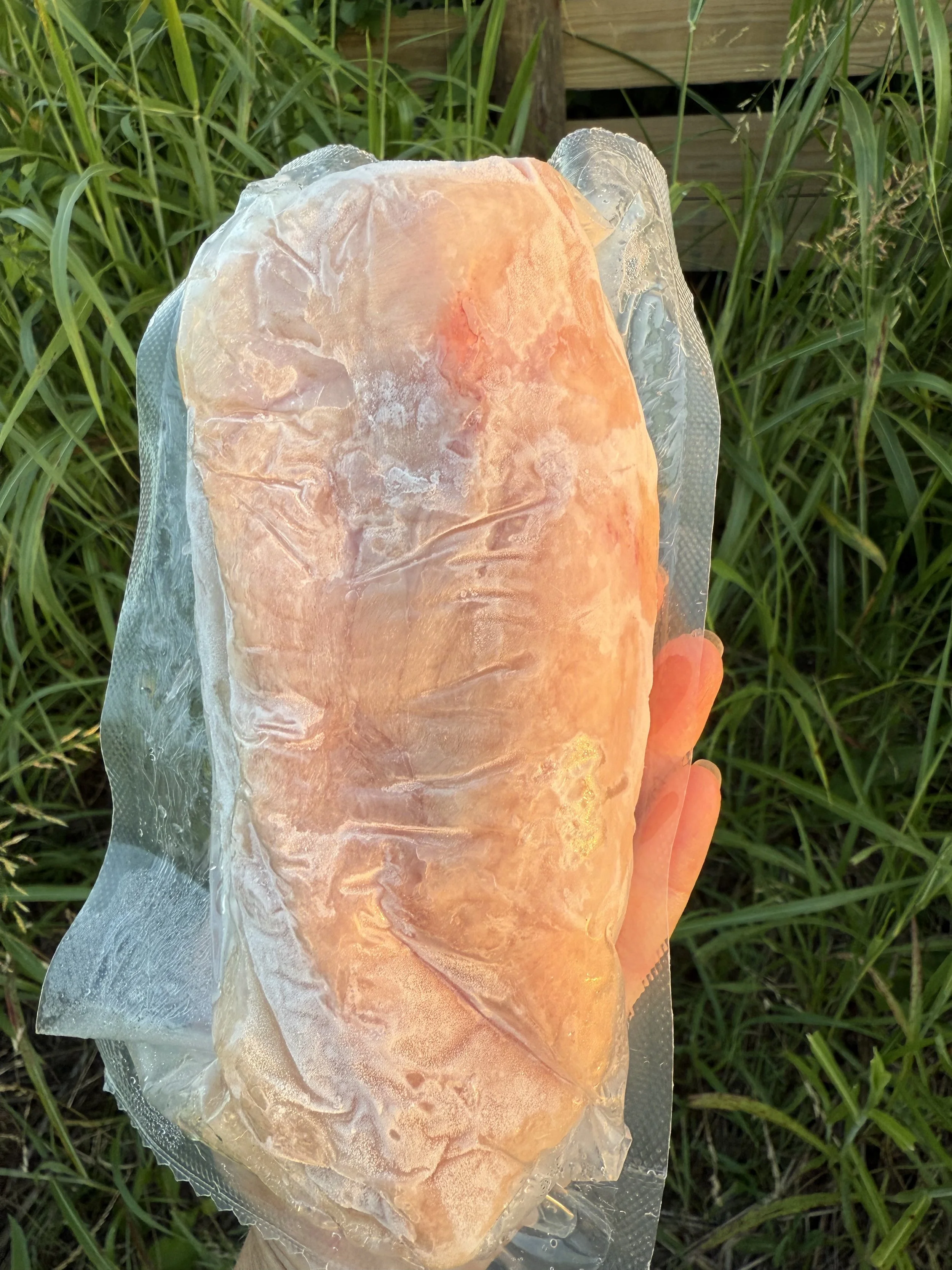 chicken breast 2.jpg
