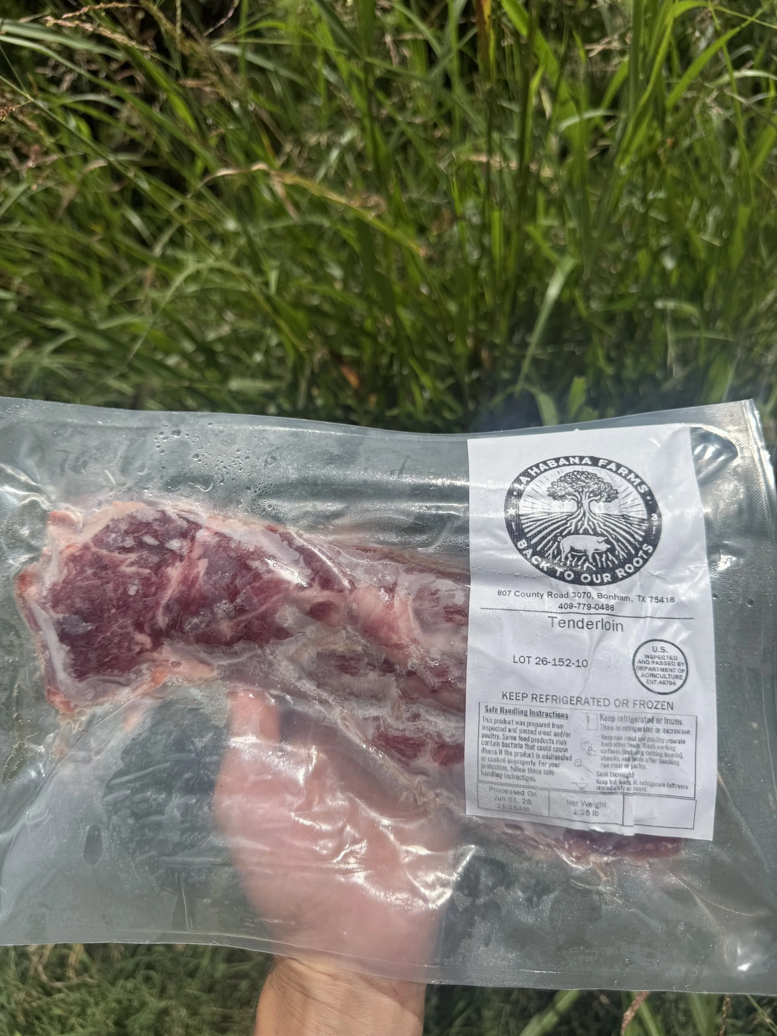 Pork Tenderloin