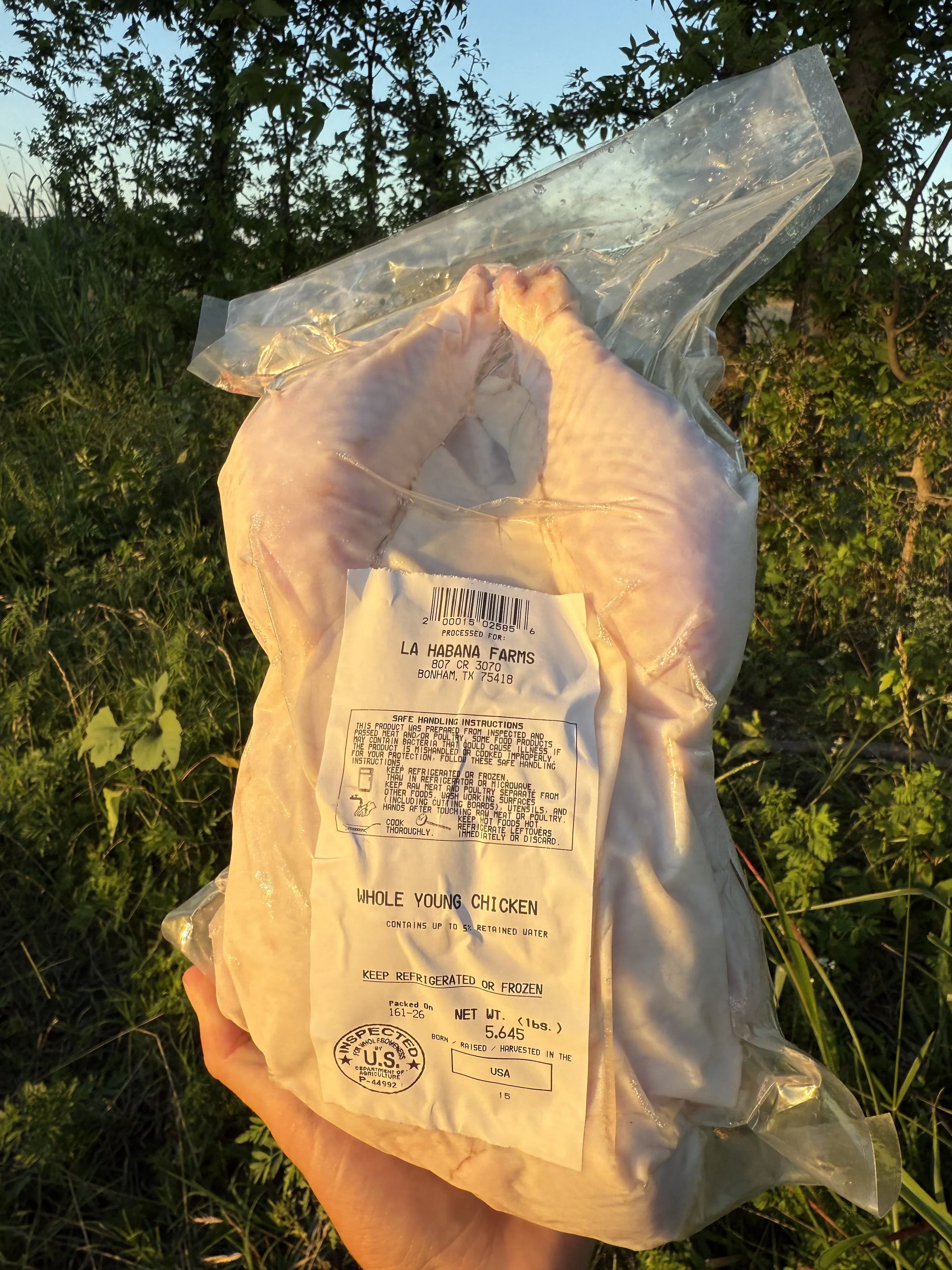 Pasture Raised Whole Frozen Chicken 3.5-7 lbs