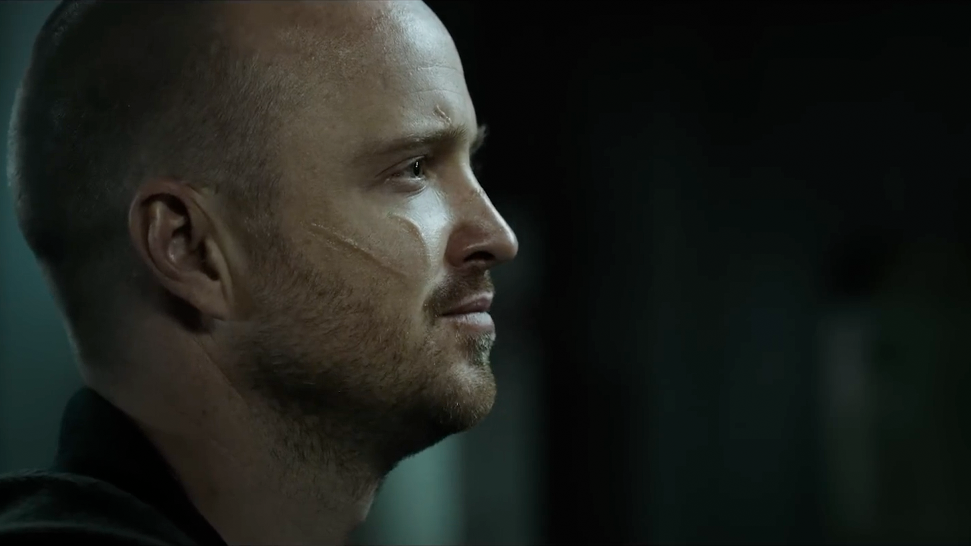 El Camino: A Breaking Bad Movie