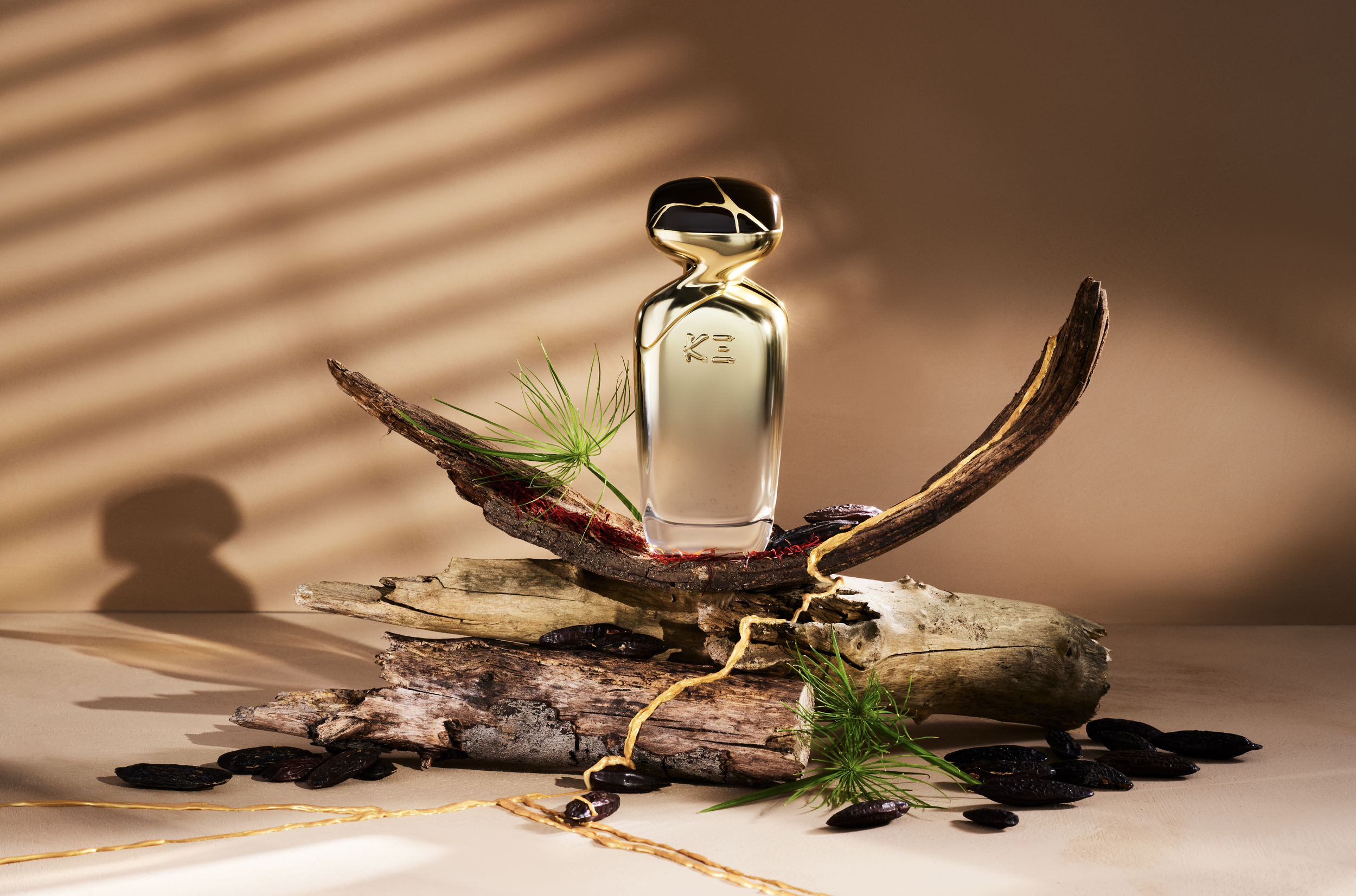 Capture d’écran 2026-01-30 à 15.55.31.png