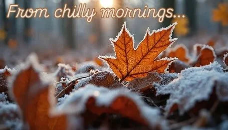 🍂 It&rsquo;s that time of year again&hellip;

When it&rsquo;s chilly in the morning, sunny and warm by afternoon, and your poor skin (and tallow balms!) don&rsquo;t know what to do.

Just like many other natural products, our tallow balms can fluctu