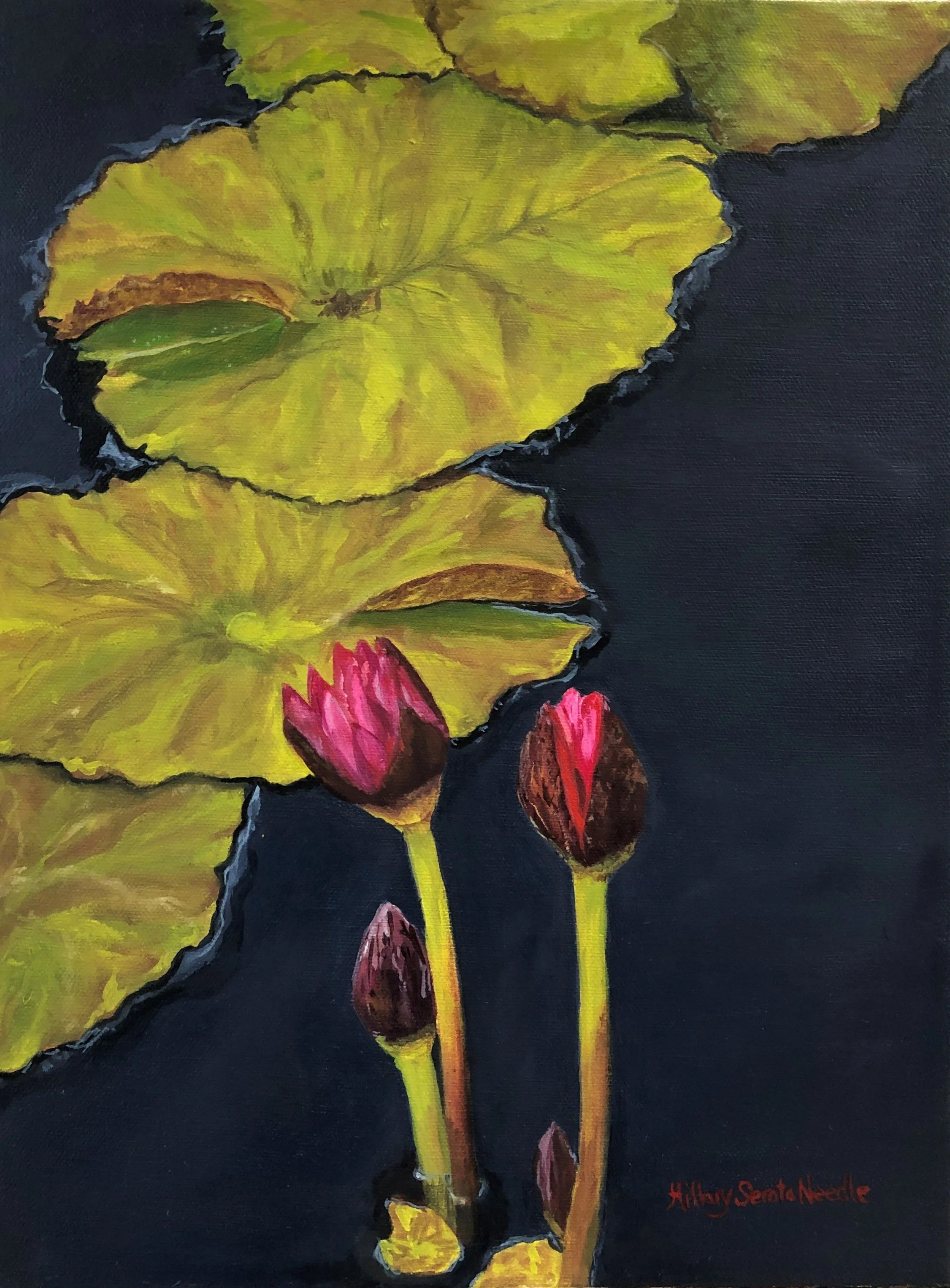 Nymphaea Hot Pink, 16x12, oil on canvas