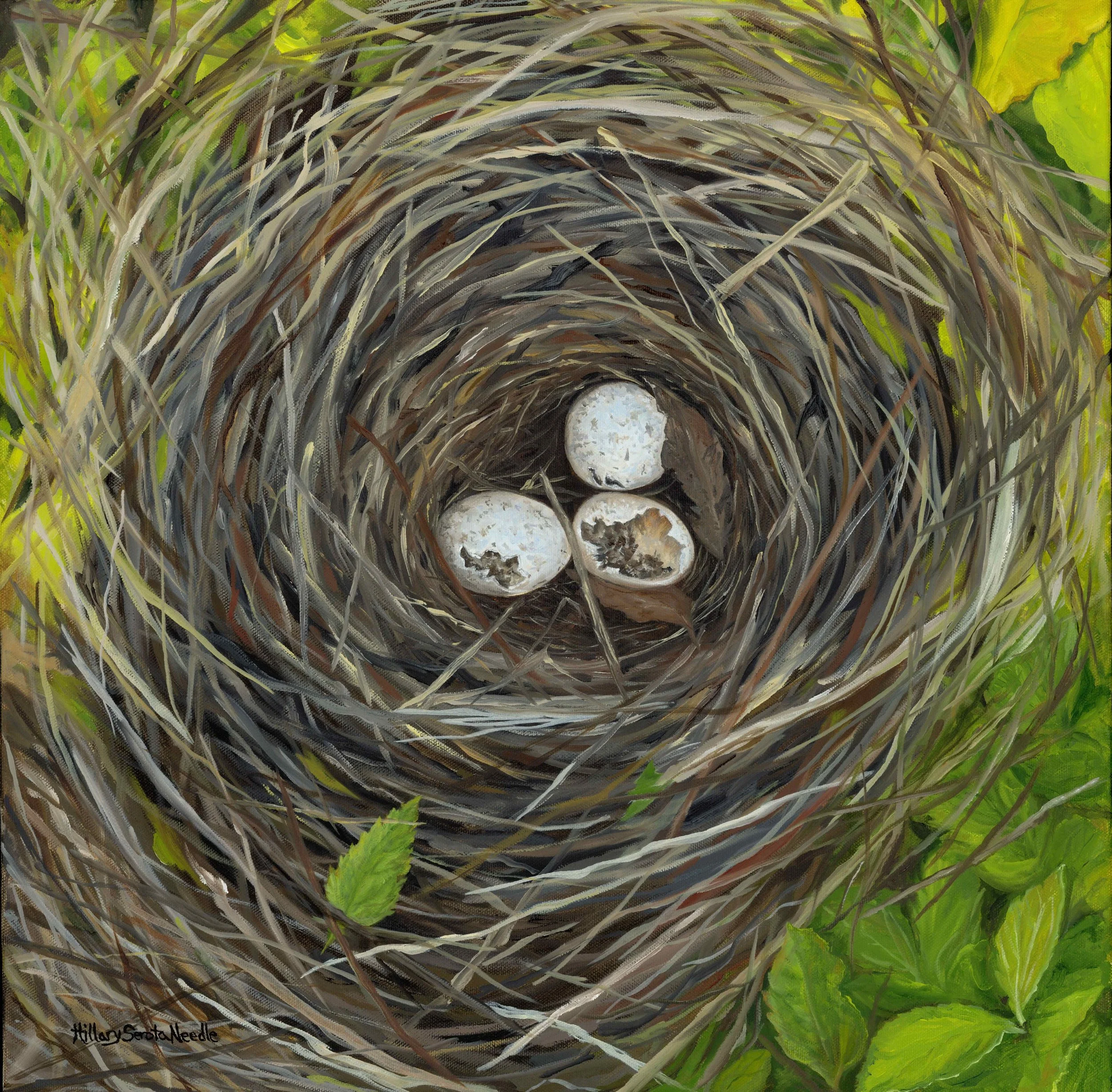 Leaving the Nest, 20x20, oil on canvas