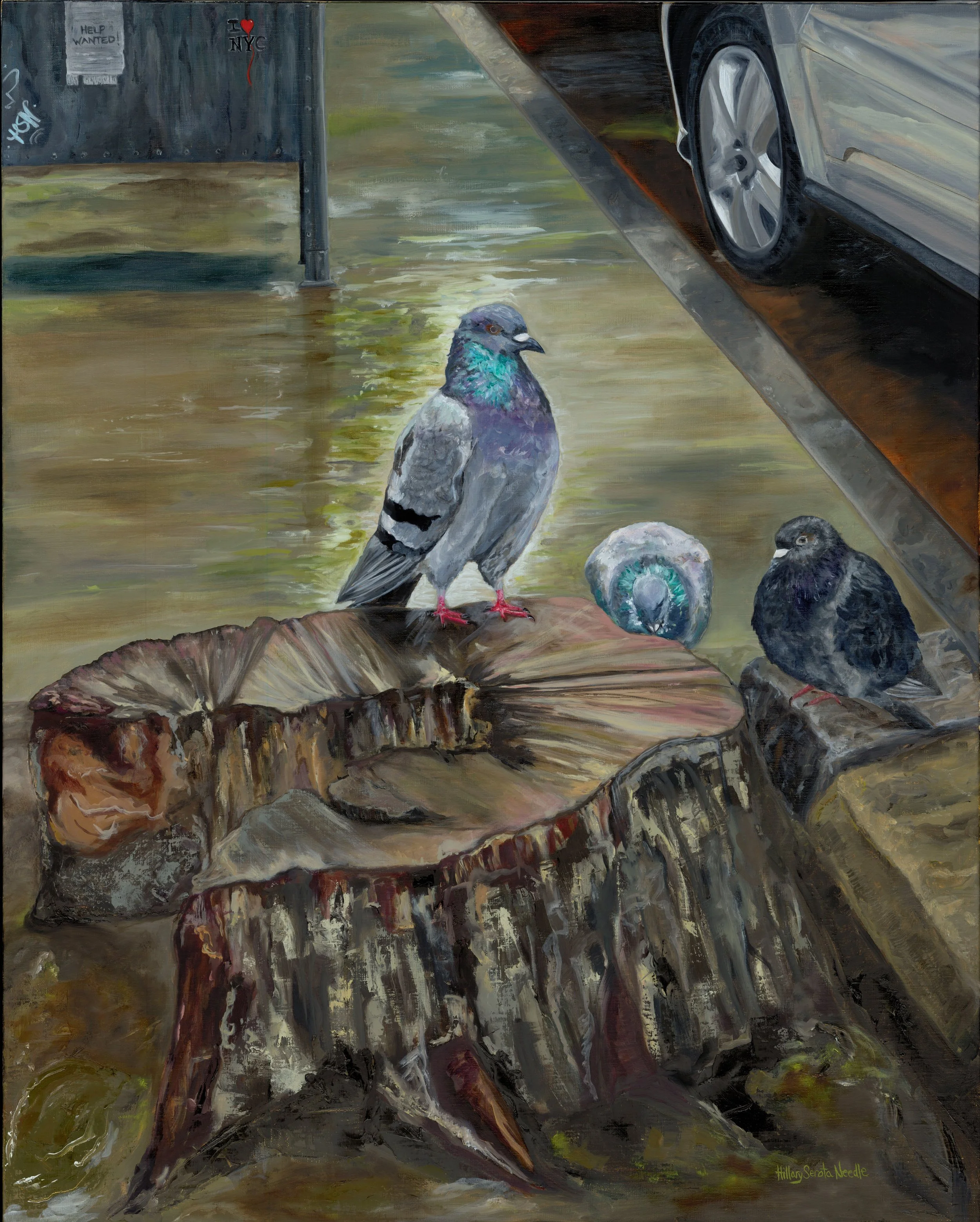 The Pigeon King, 30x24, oil on canvas