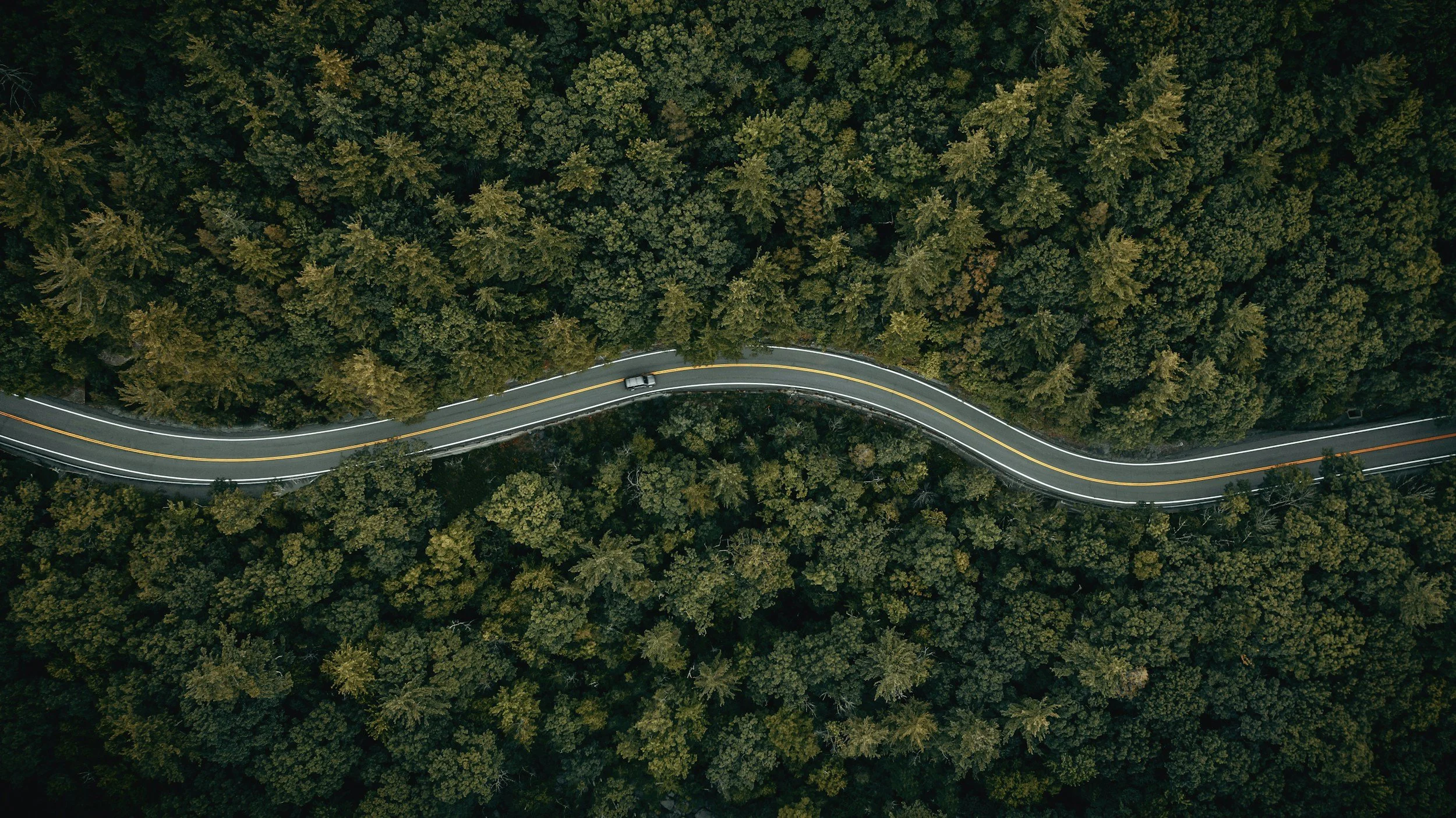 A winding road curves through a dense green forest seen from above, suggesting the sequence and order of retirement withdrawals.