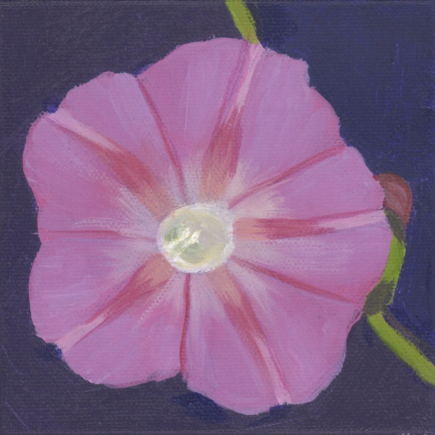 Marble St II_300dpi.jpg