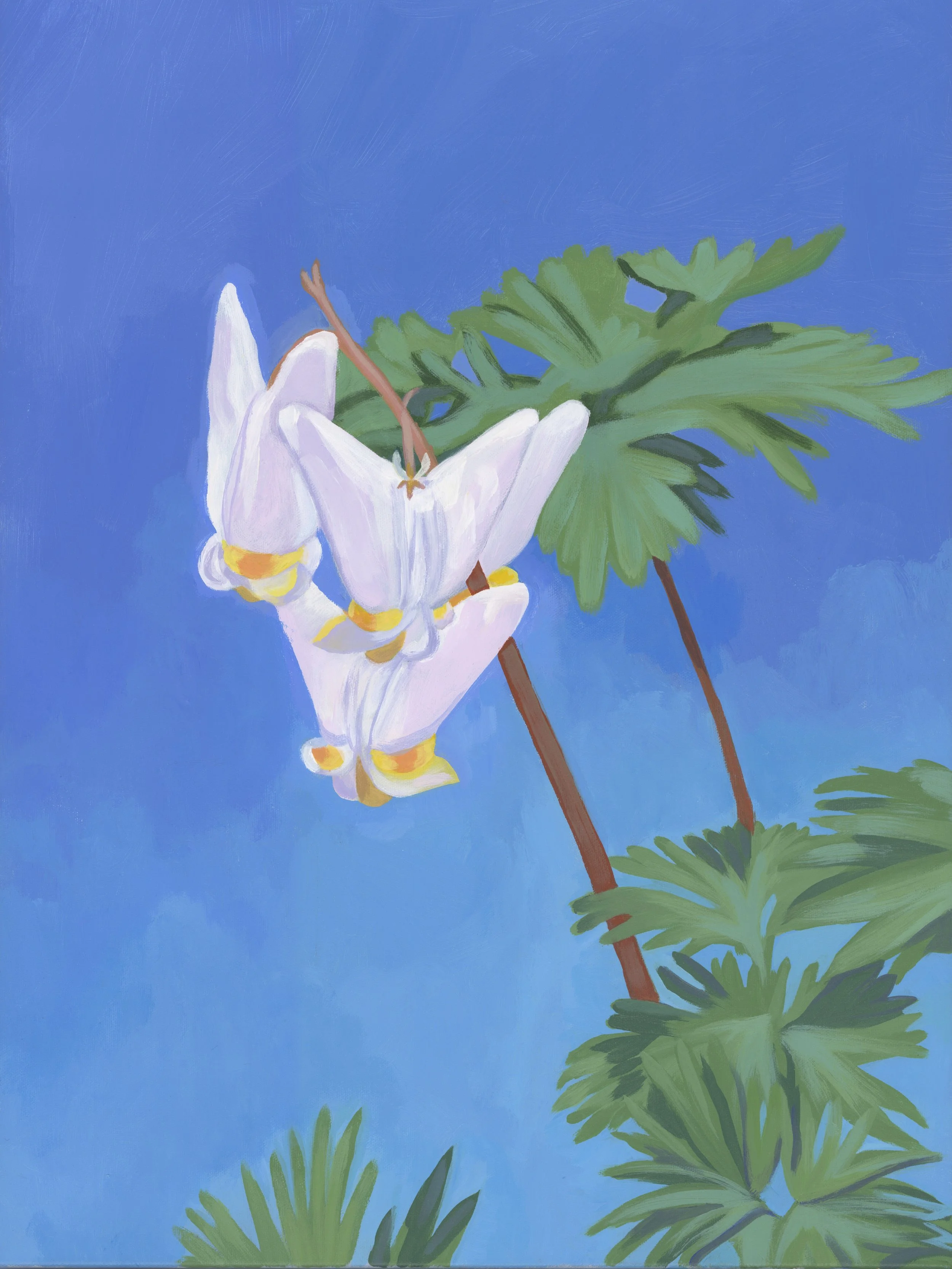 buttercup_dutchmans_300dpi copy.jpg