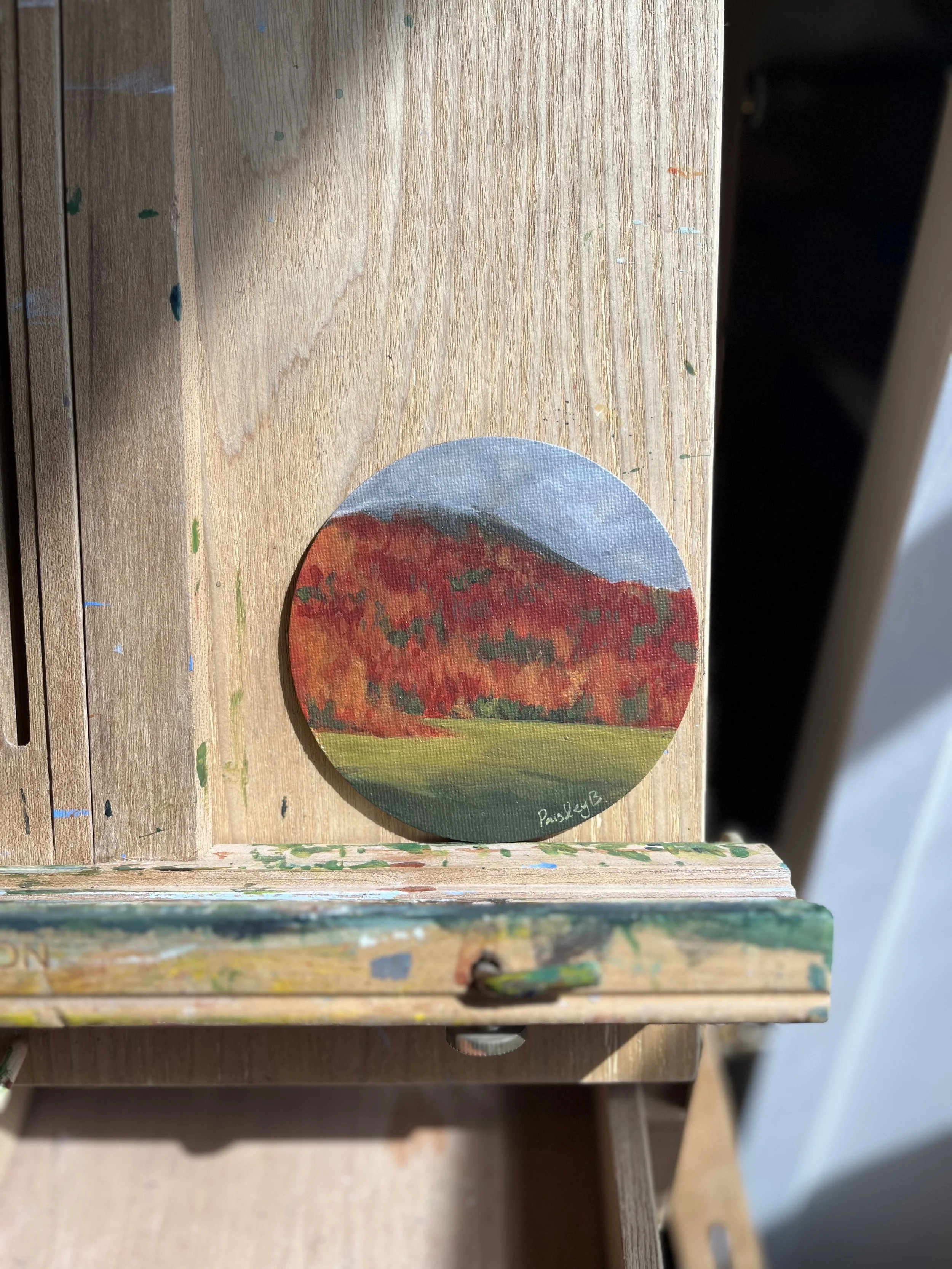 Fall Colors