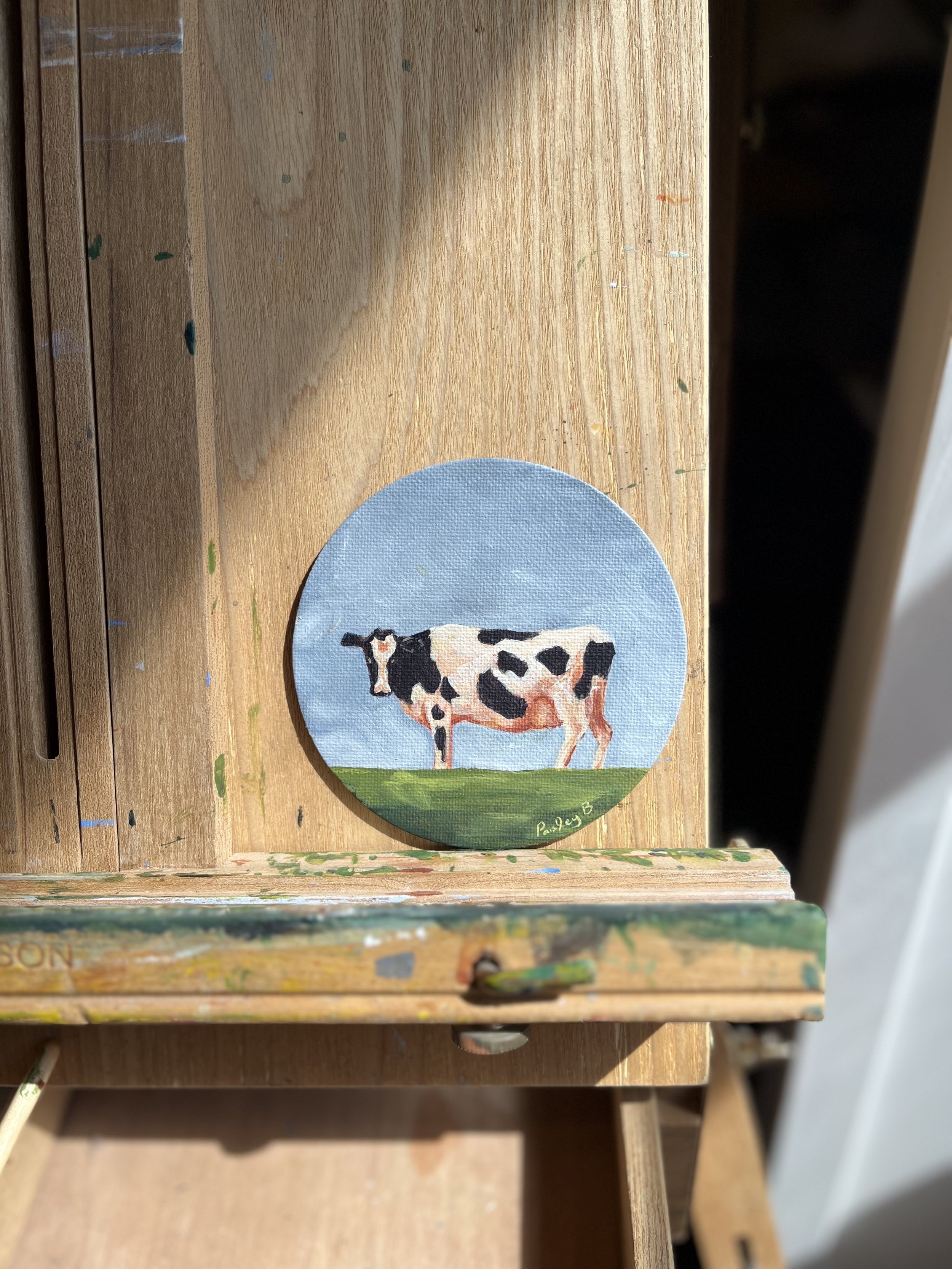 Moo Cow