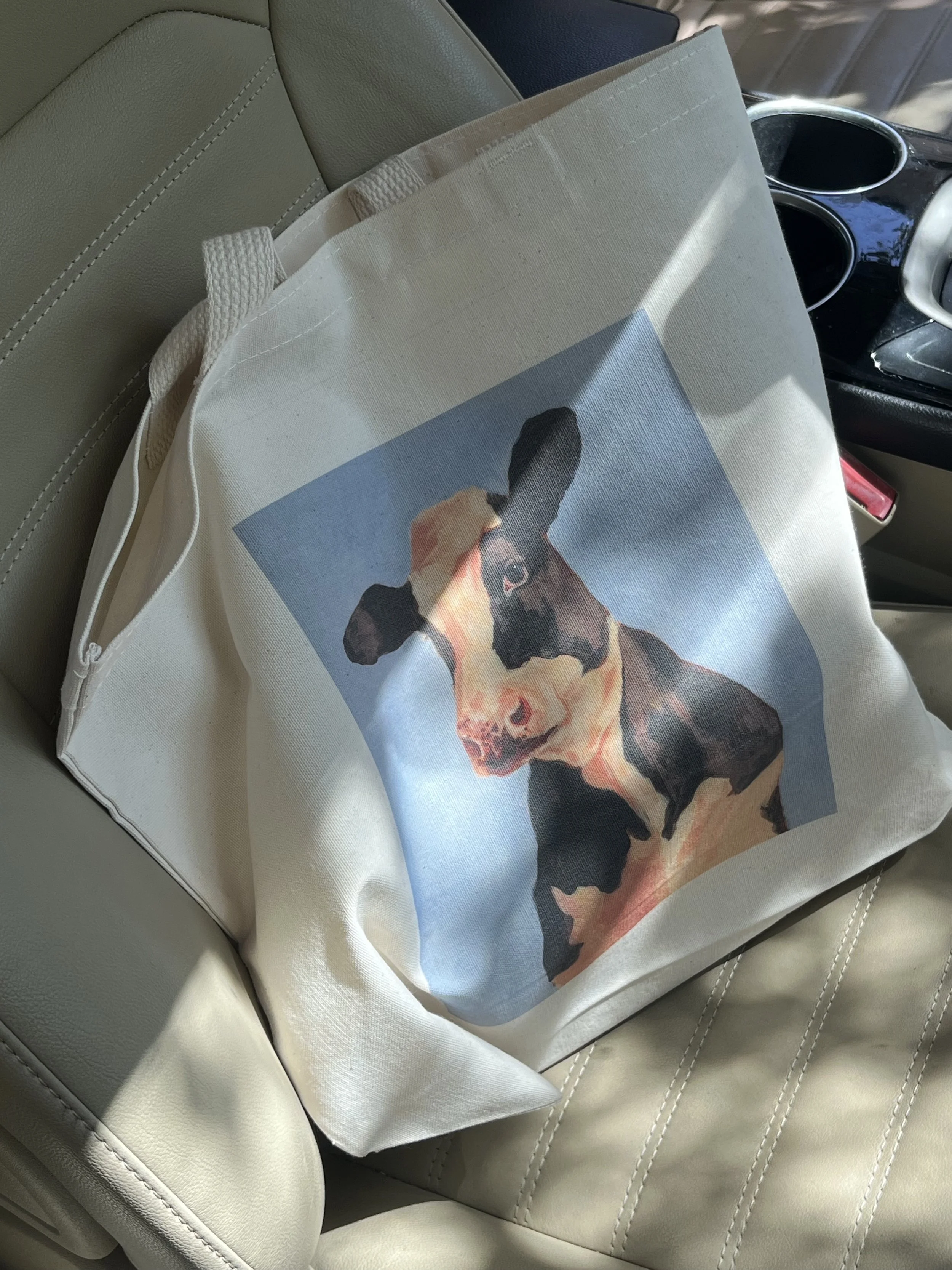 cow.jpg