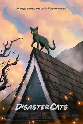 Disaster Cats