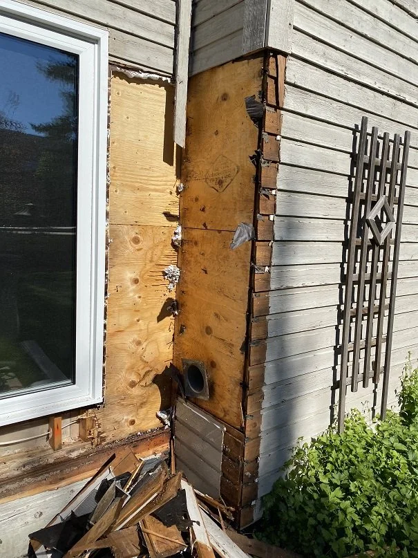 Carpenter Ant Remediation 2.jpg