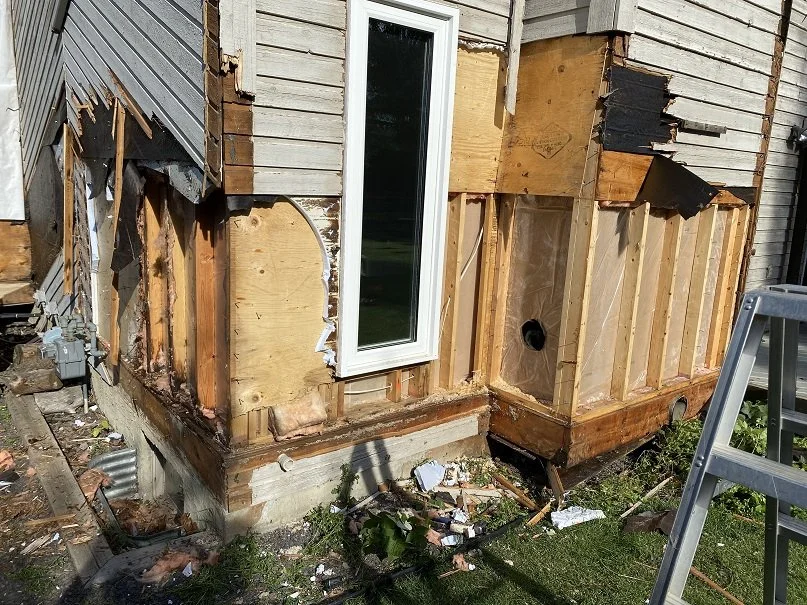 Carpenter Ant Remediation 4.jpg