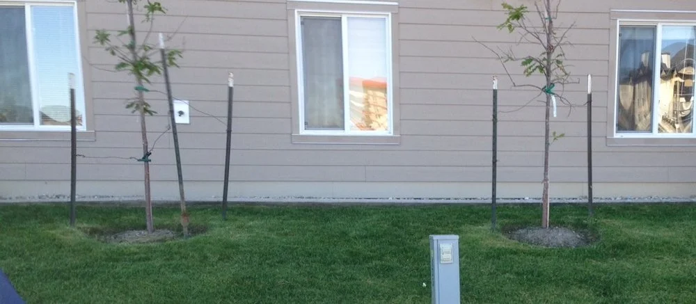 A Hardie siding installation showing the required 8" clearance from a soft grade