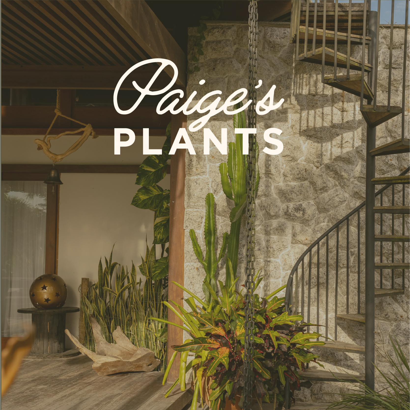 PM__Image Background 2.webp