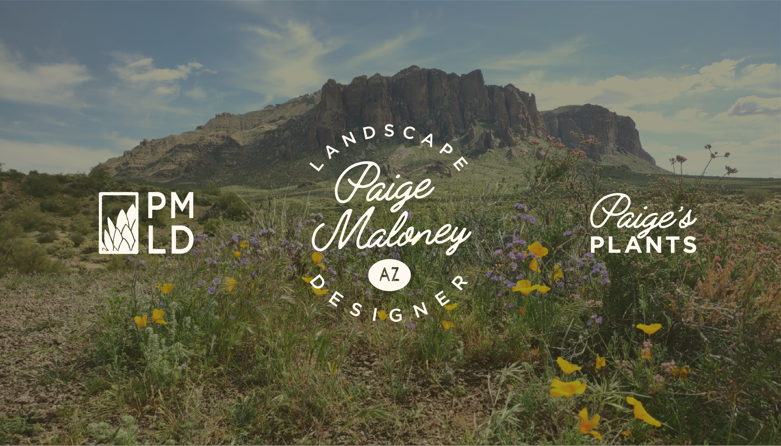 Image of three alternate logomarks for Paige Maloney with an Arizonian landscape in the background
