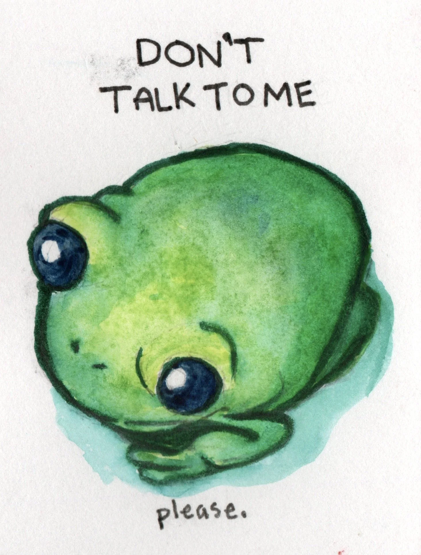 P-34	Don't Talk to Me Please Frog