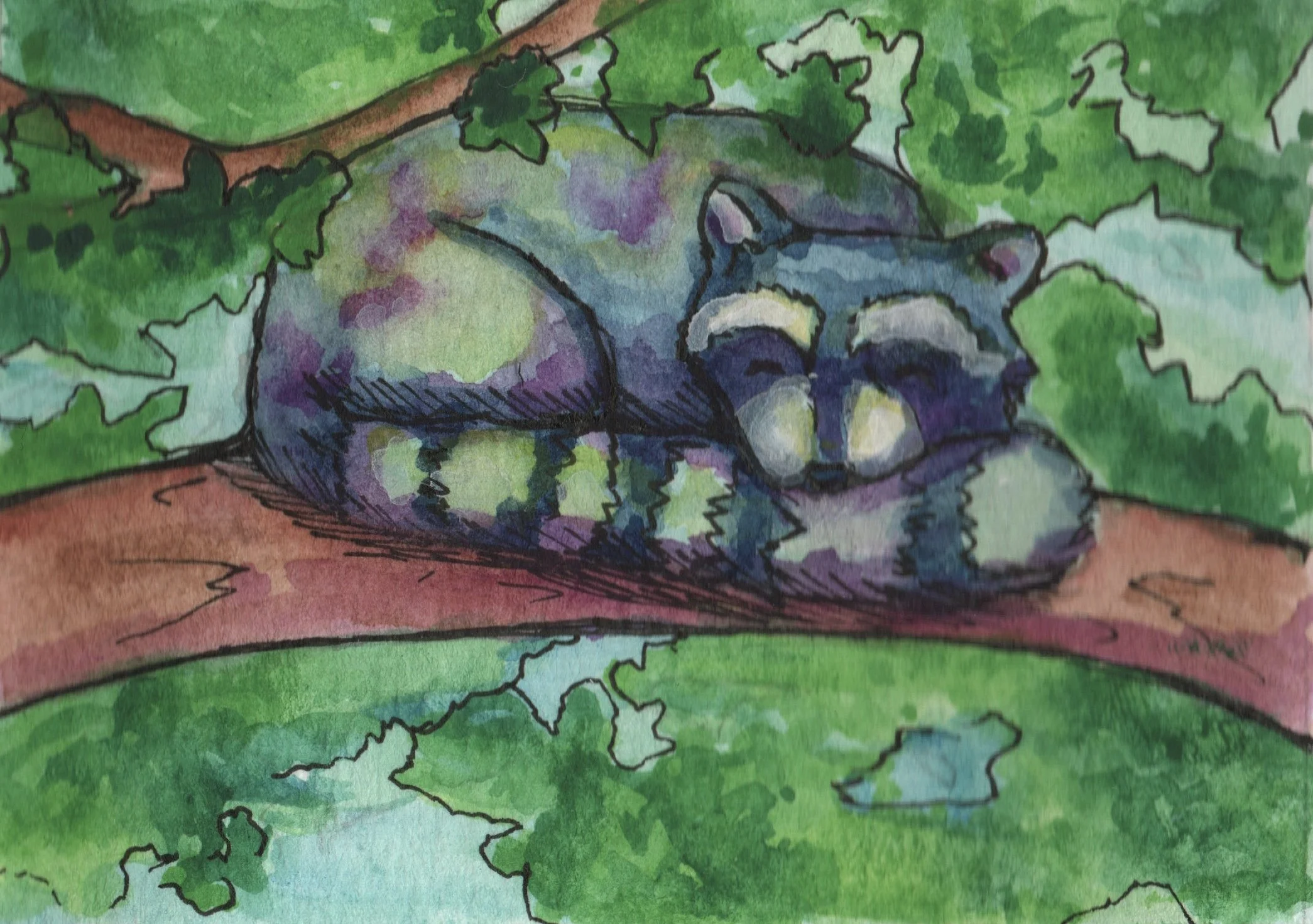 P-60	A Cozy Afternoon Nap