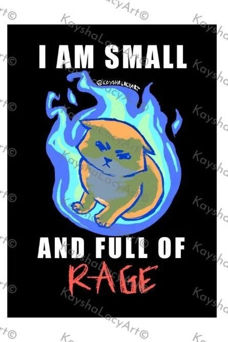 "I Am Small and Full of Rage" Medium Vinyl Sticker of an Angry Orange Cat on Fire