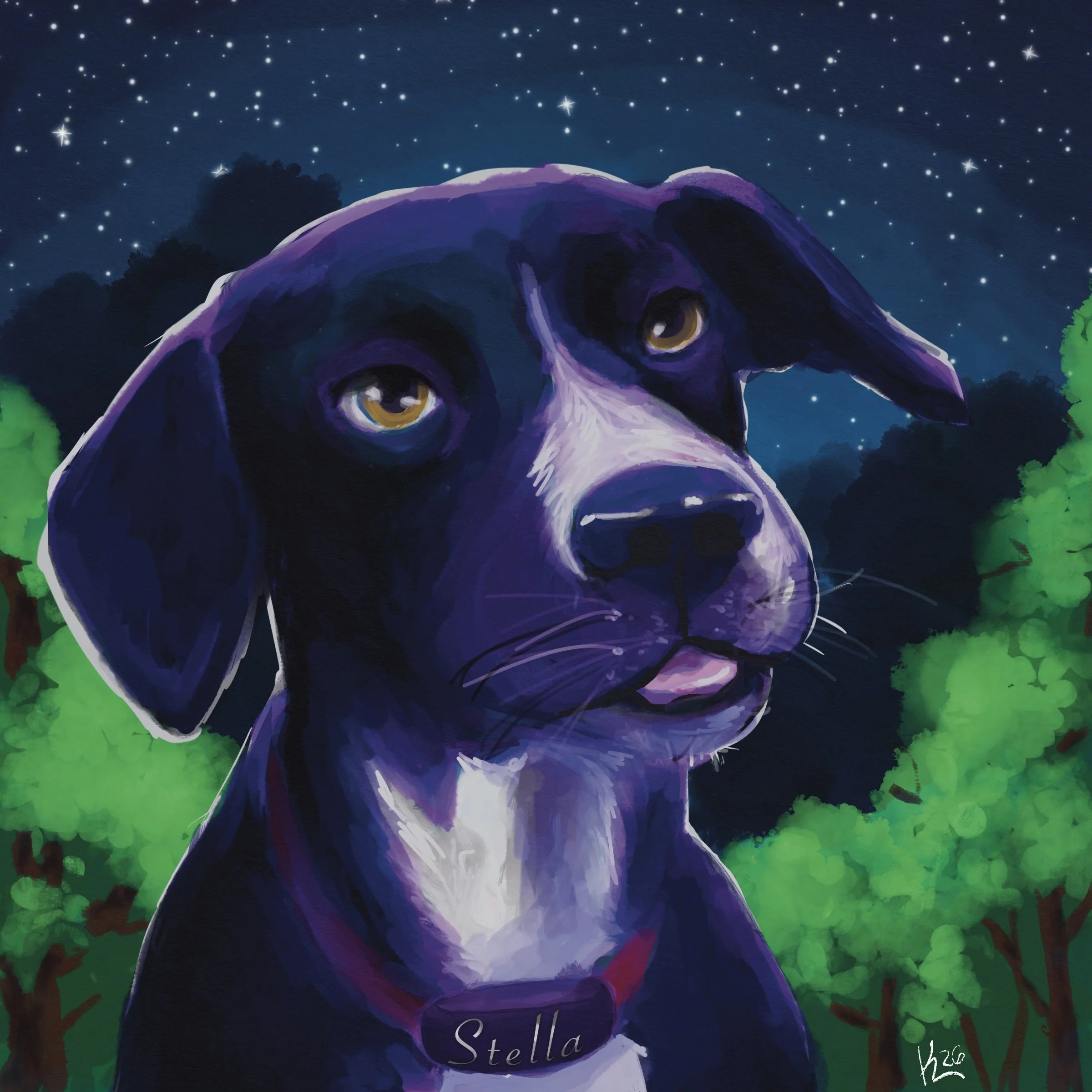 Stella - Pet Portrait Commission