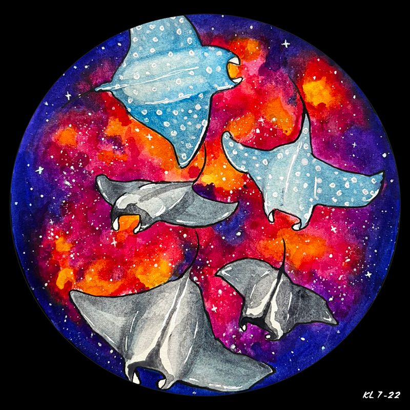 Stingray Galaxy (1 of 3)