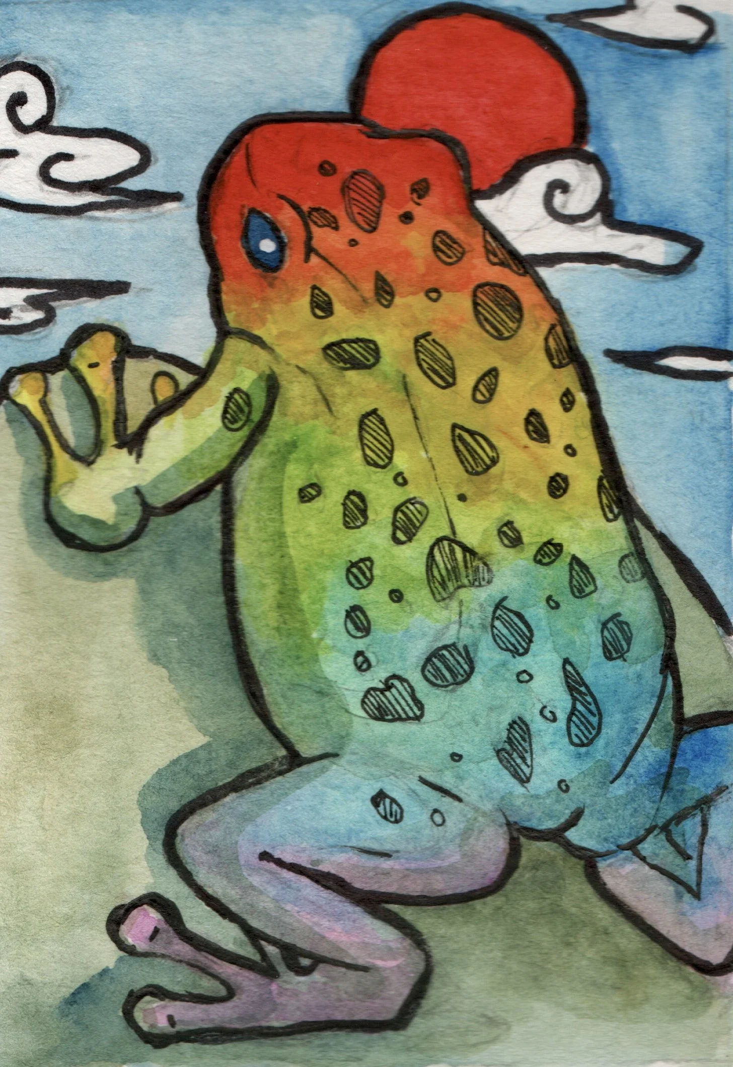 P-53	Rainbow Frog