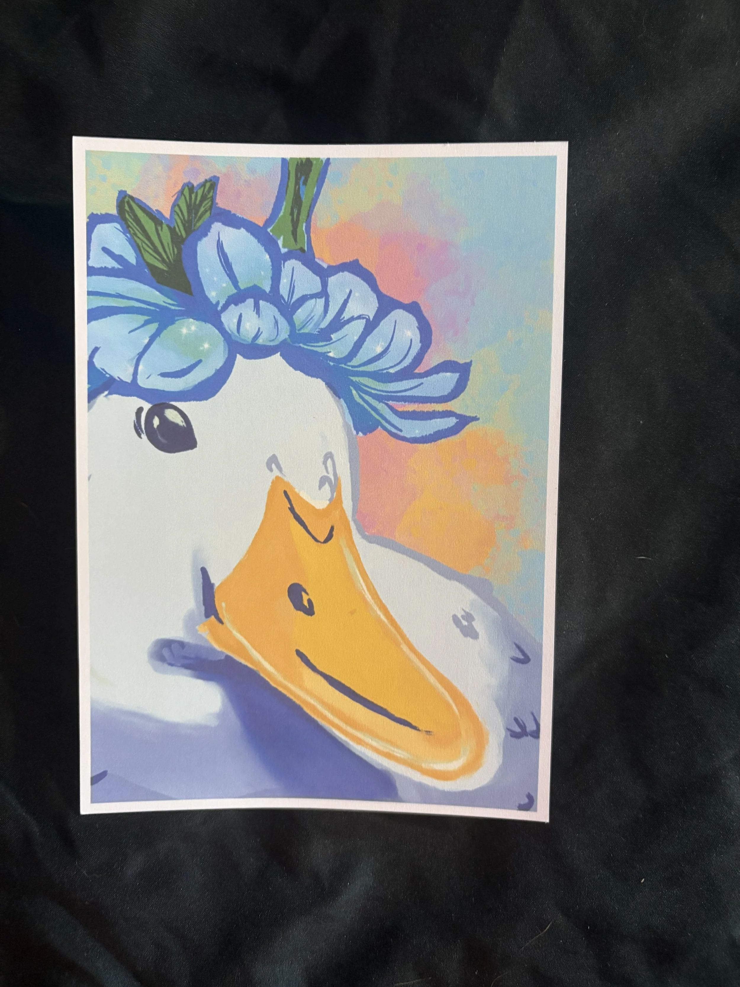 Spring Duck PC Front.jpg