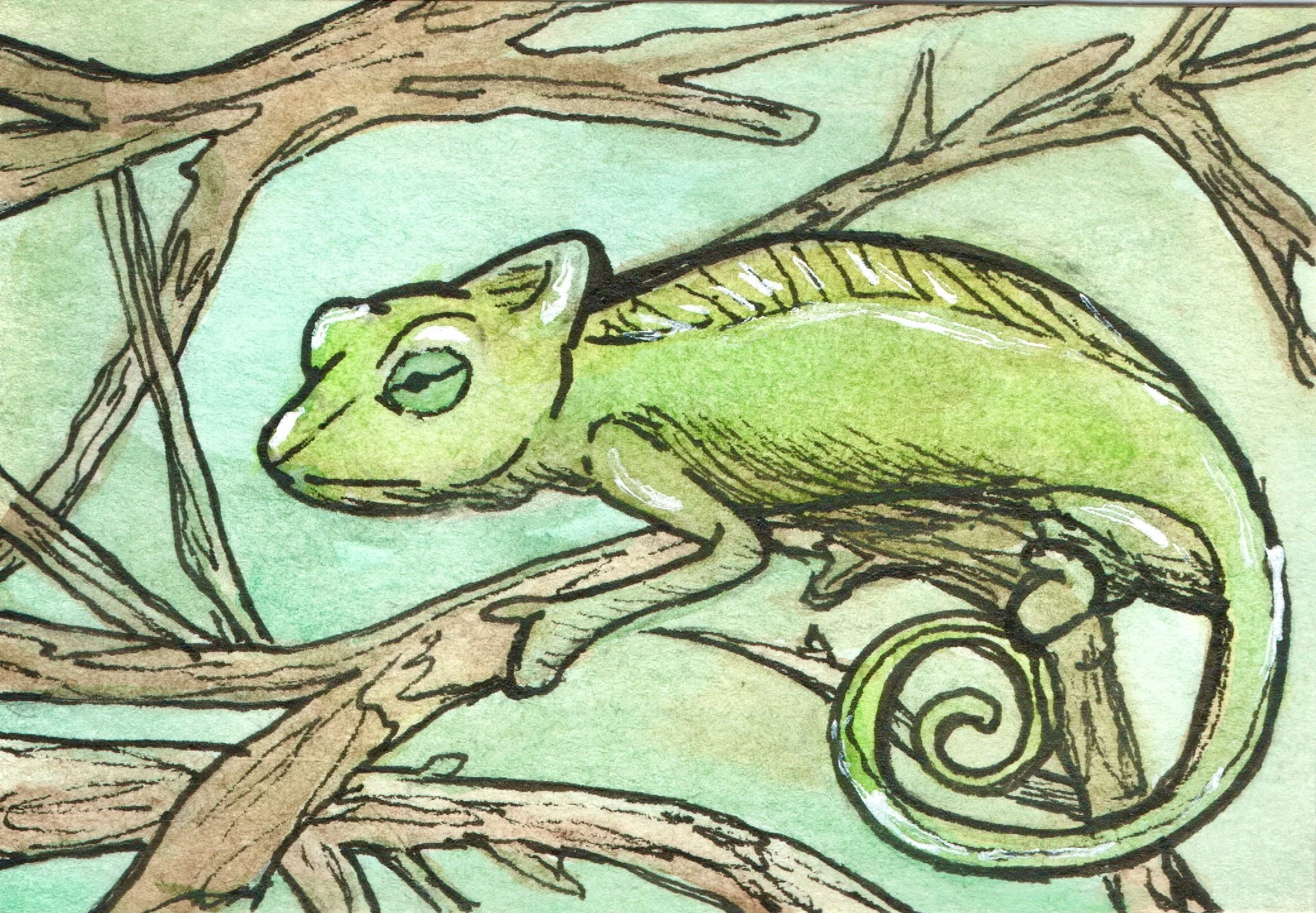 P-6	Chameleon