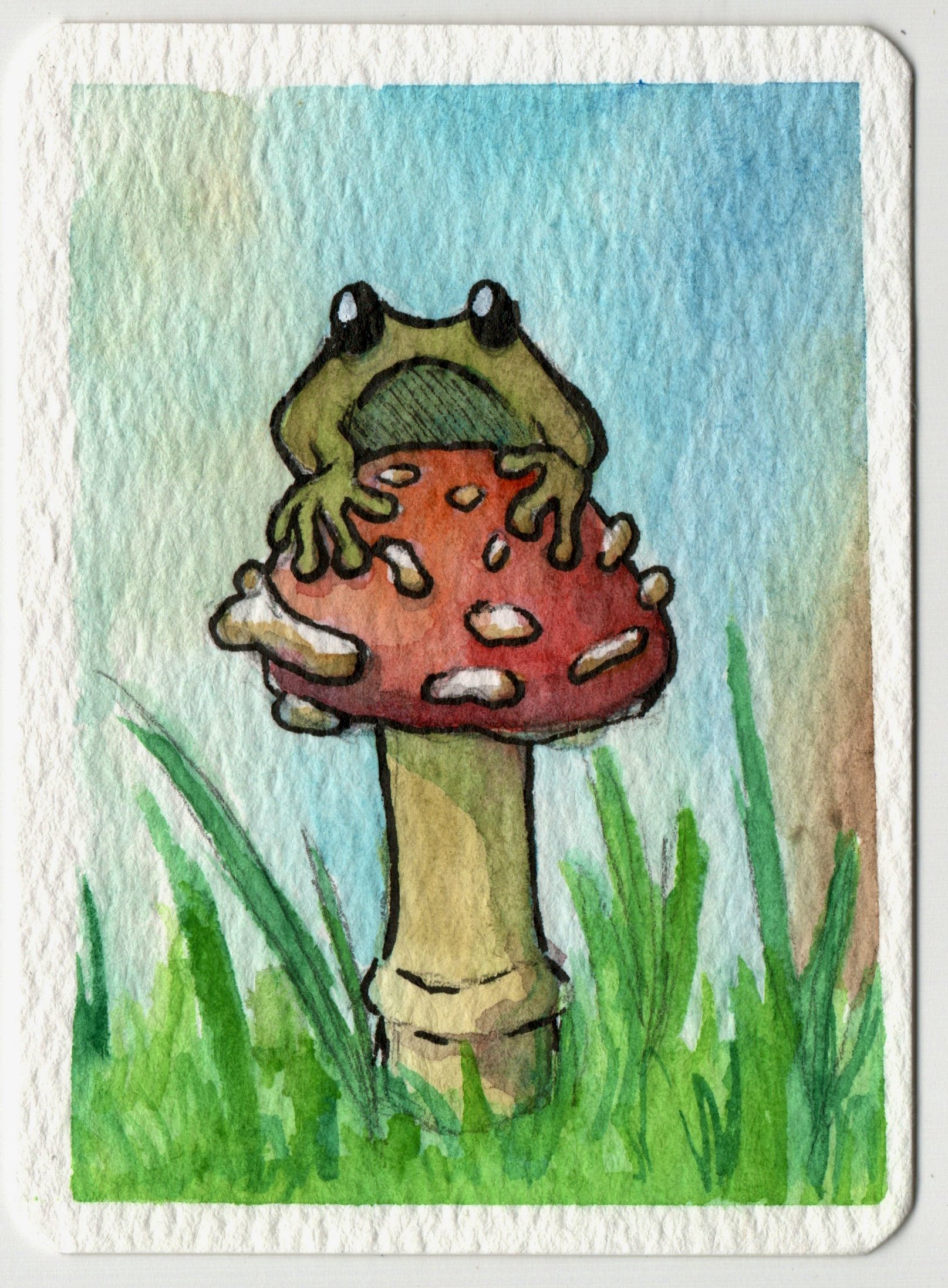 P-114	The Frog and his Toadstool