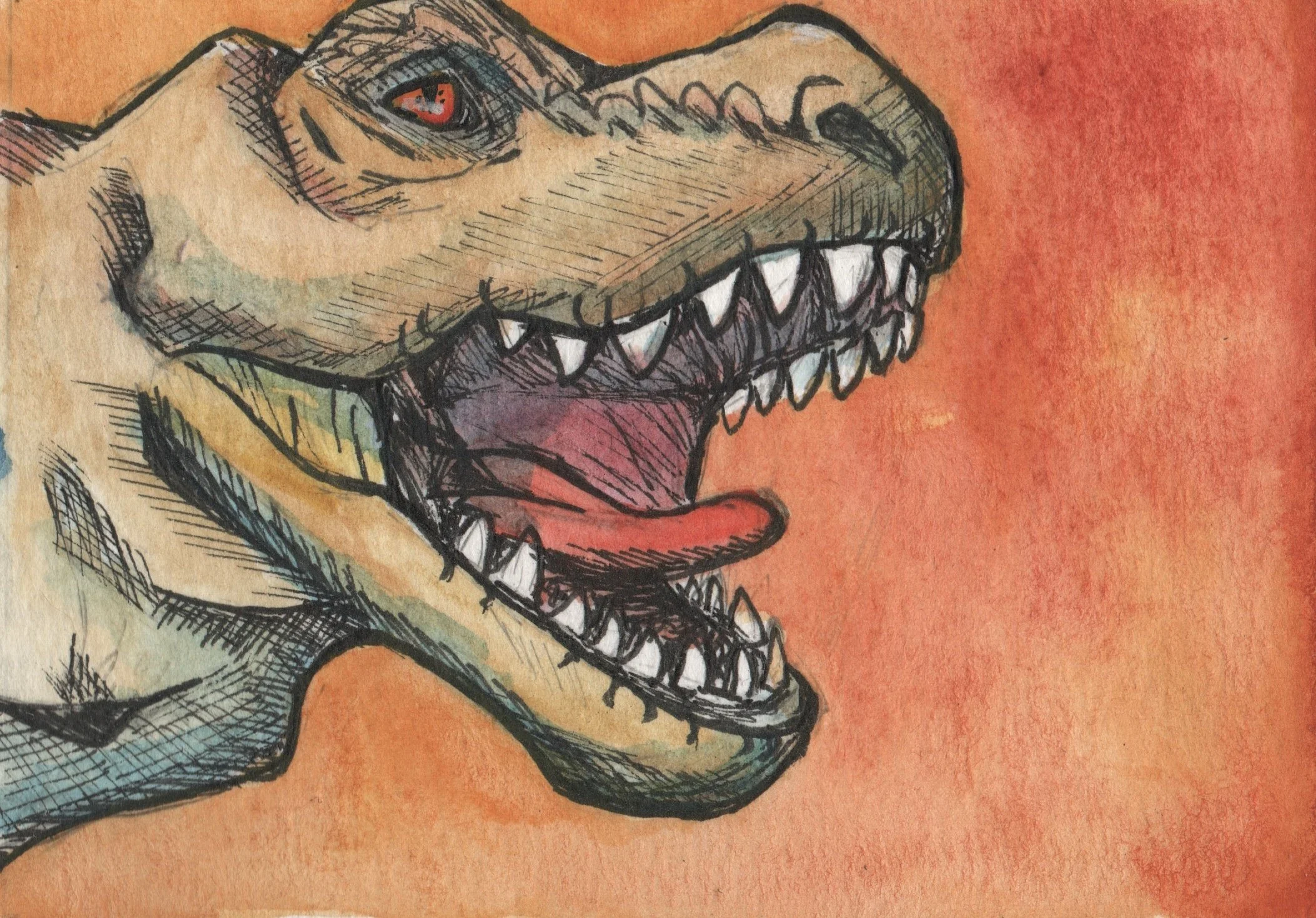 P-67	T-Rex